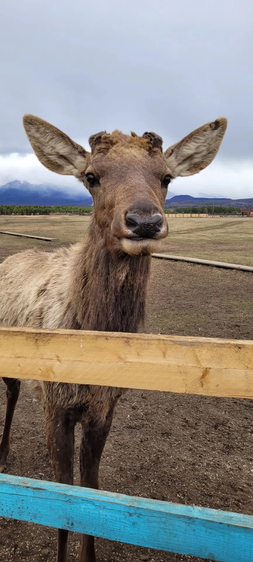 Второе изображение экскурсии