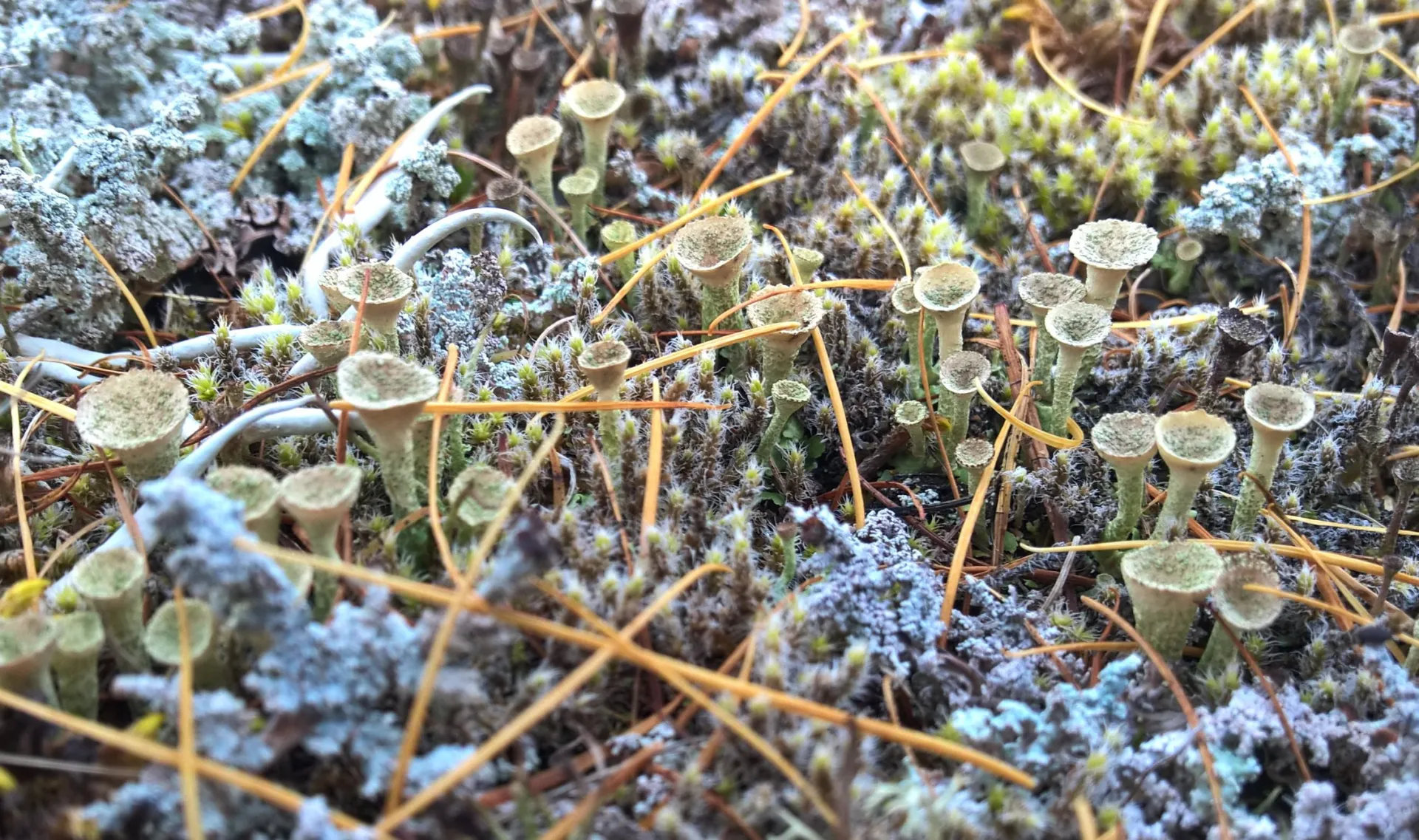 Главное изображение экскурсии