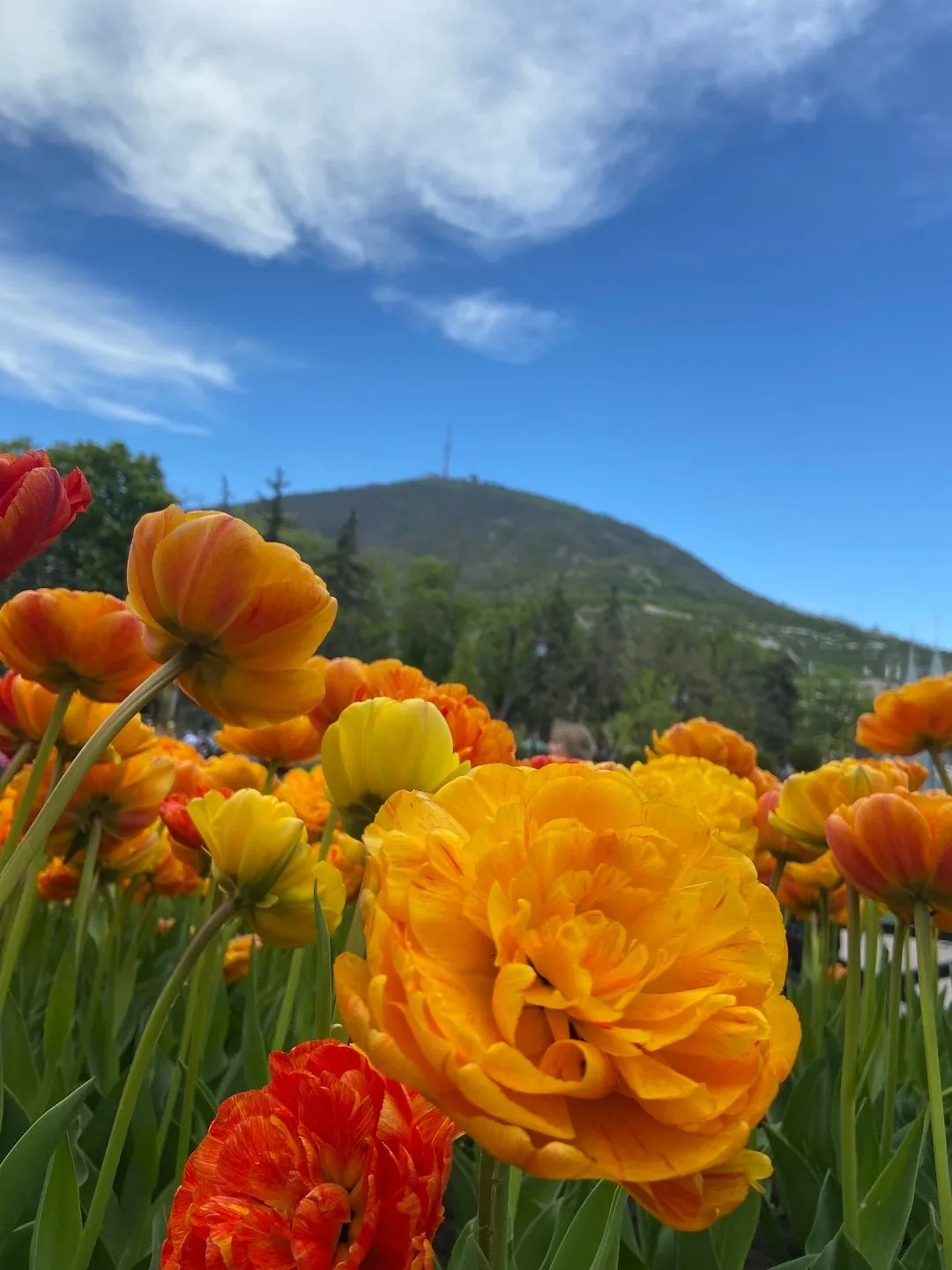 Главное изображение экскурсии