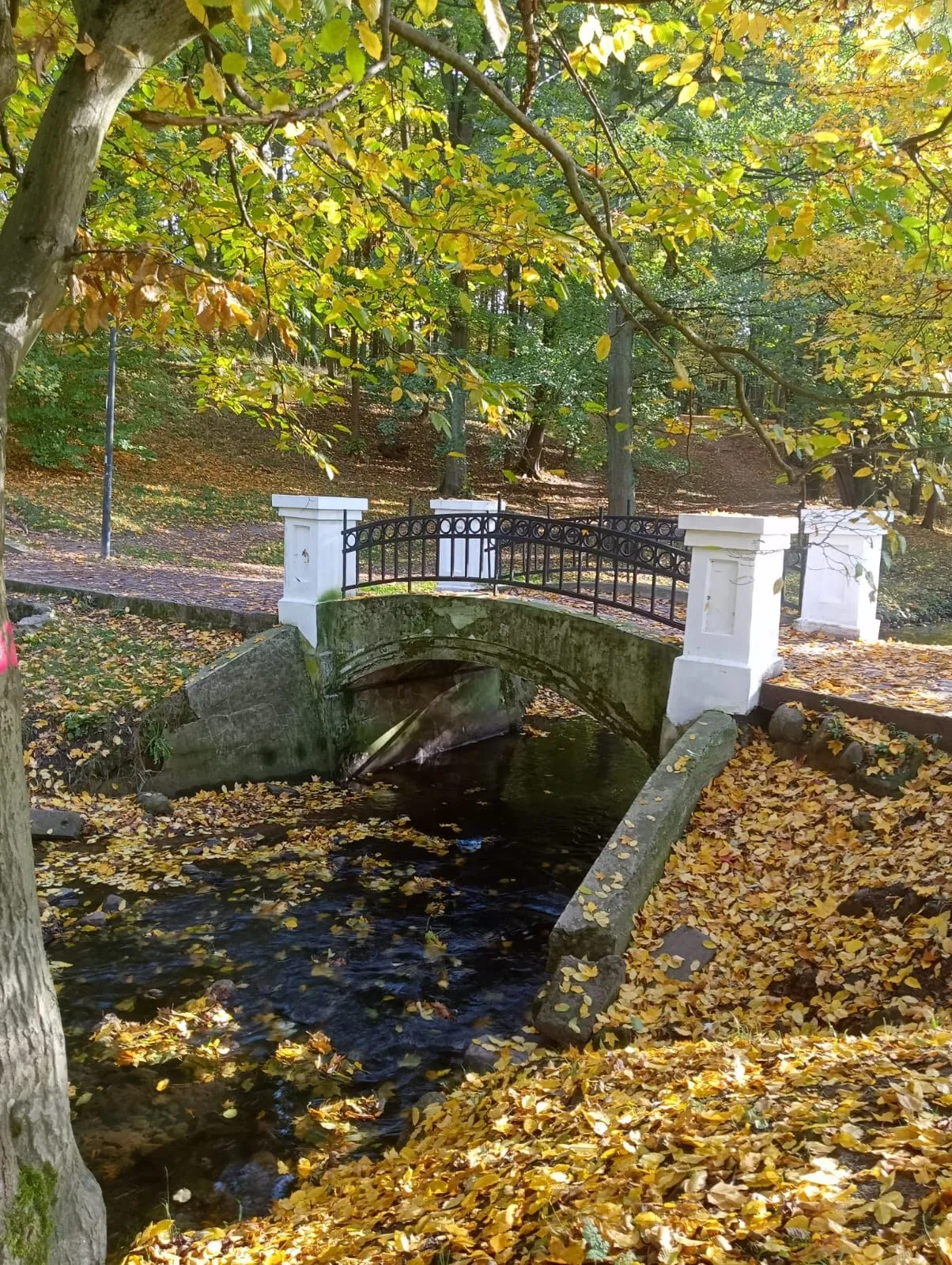 Второе изображение экскурсии