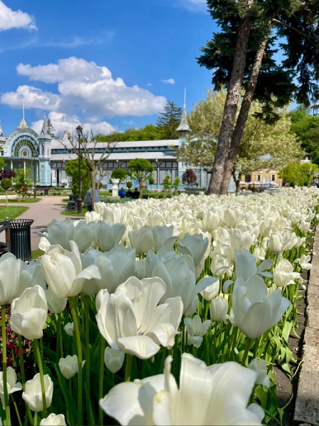 Второе изображение экскурсии