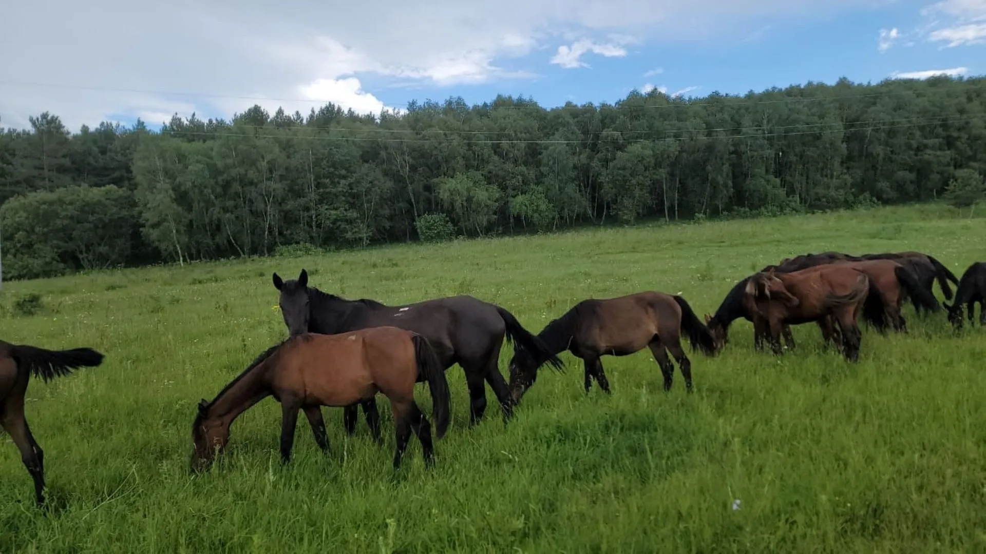 Главное изображение экскурсии
