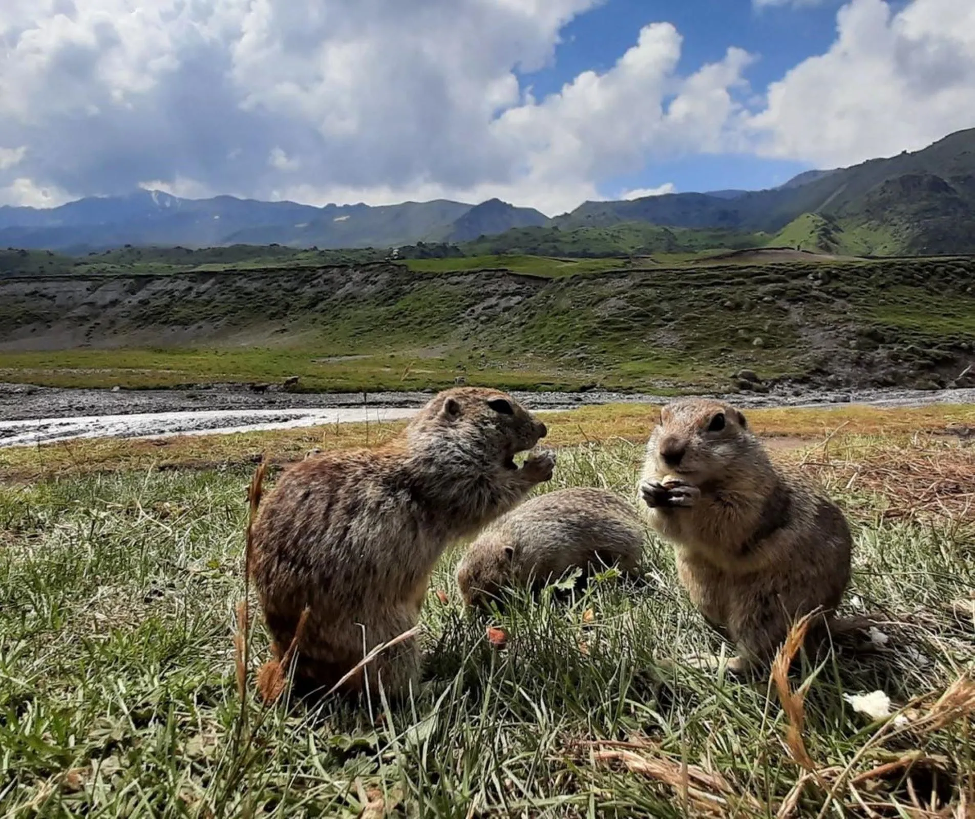 Второе изображение экскурсии
