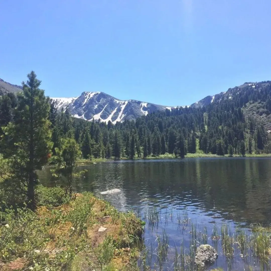 Экскурсия из Манжерока на Каракольские озера: треккинг к жемчужинам Алтая