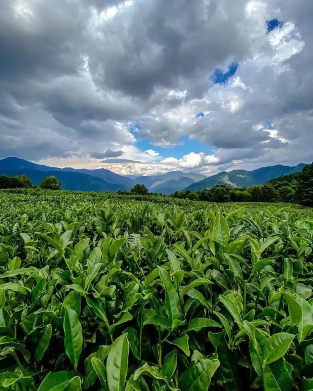 Джип-тур в Солох-Аул: путешествие в объятиях природы