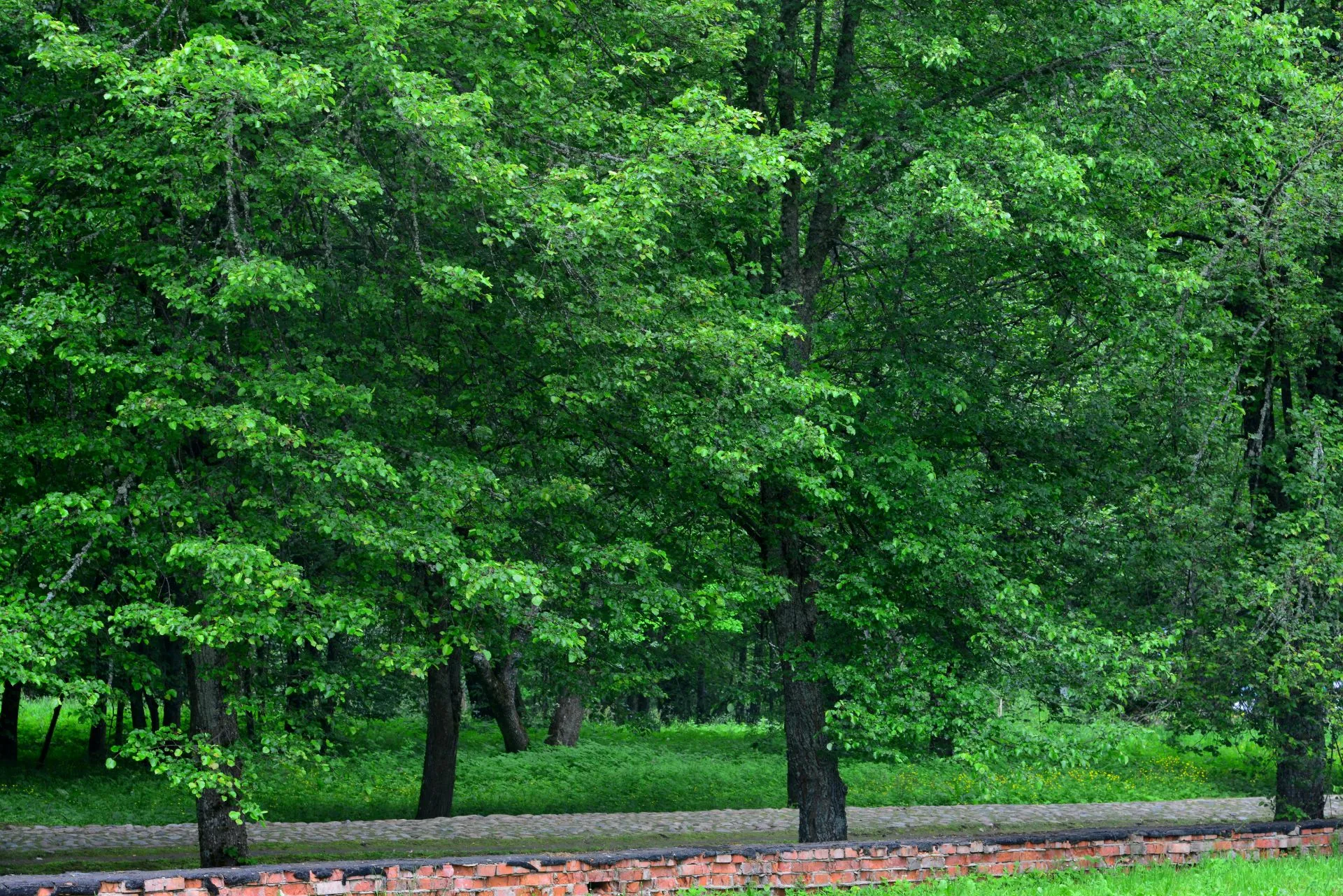 Главное изображение экскурсии