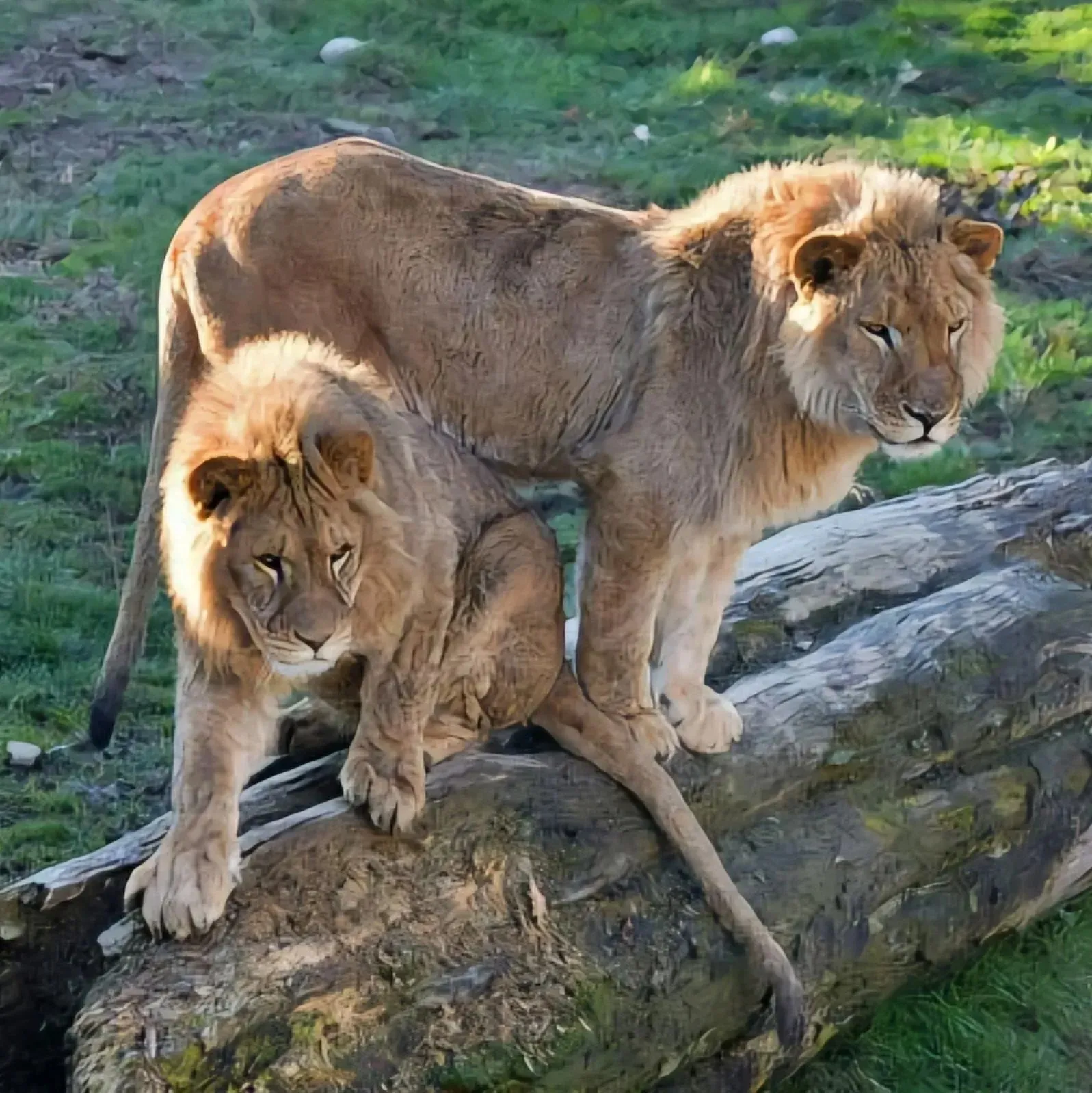 Второе изображение экскурсии