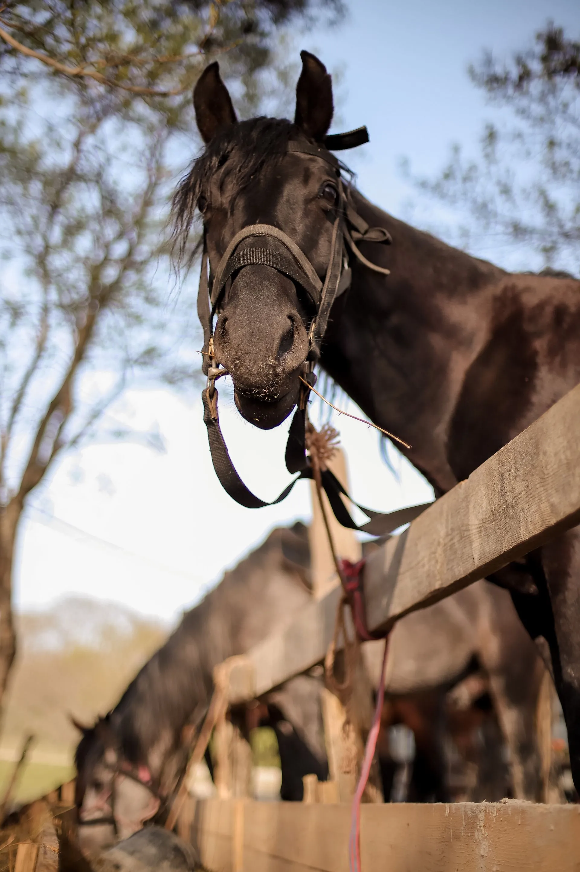 Второе изображение экскурсии