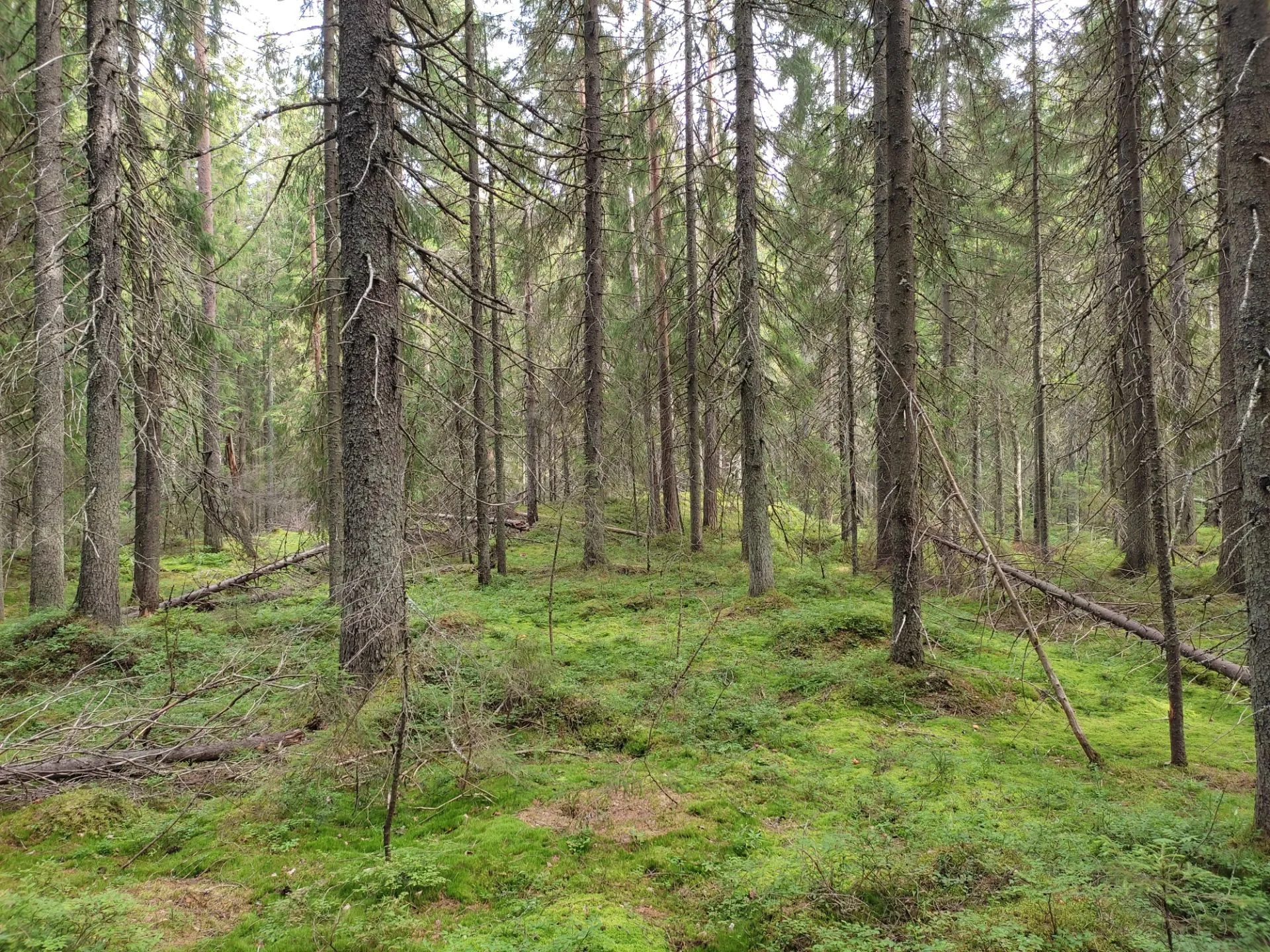 Второе изображение экскурсии