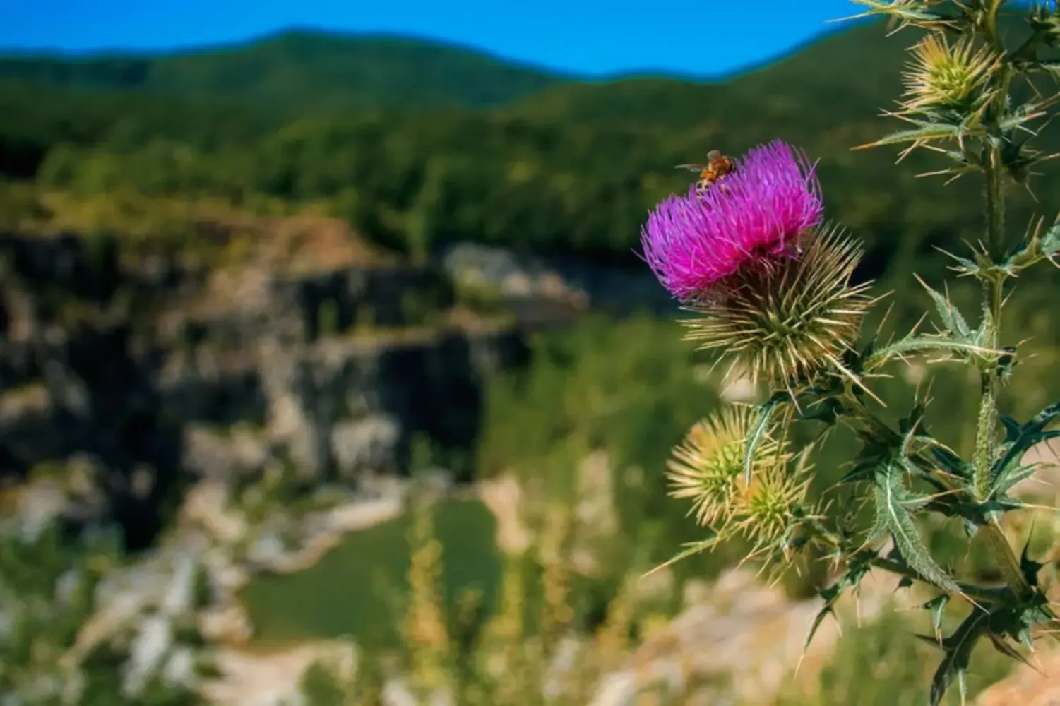 Второе изображение экскурсии