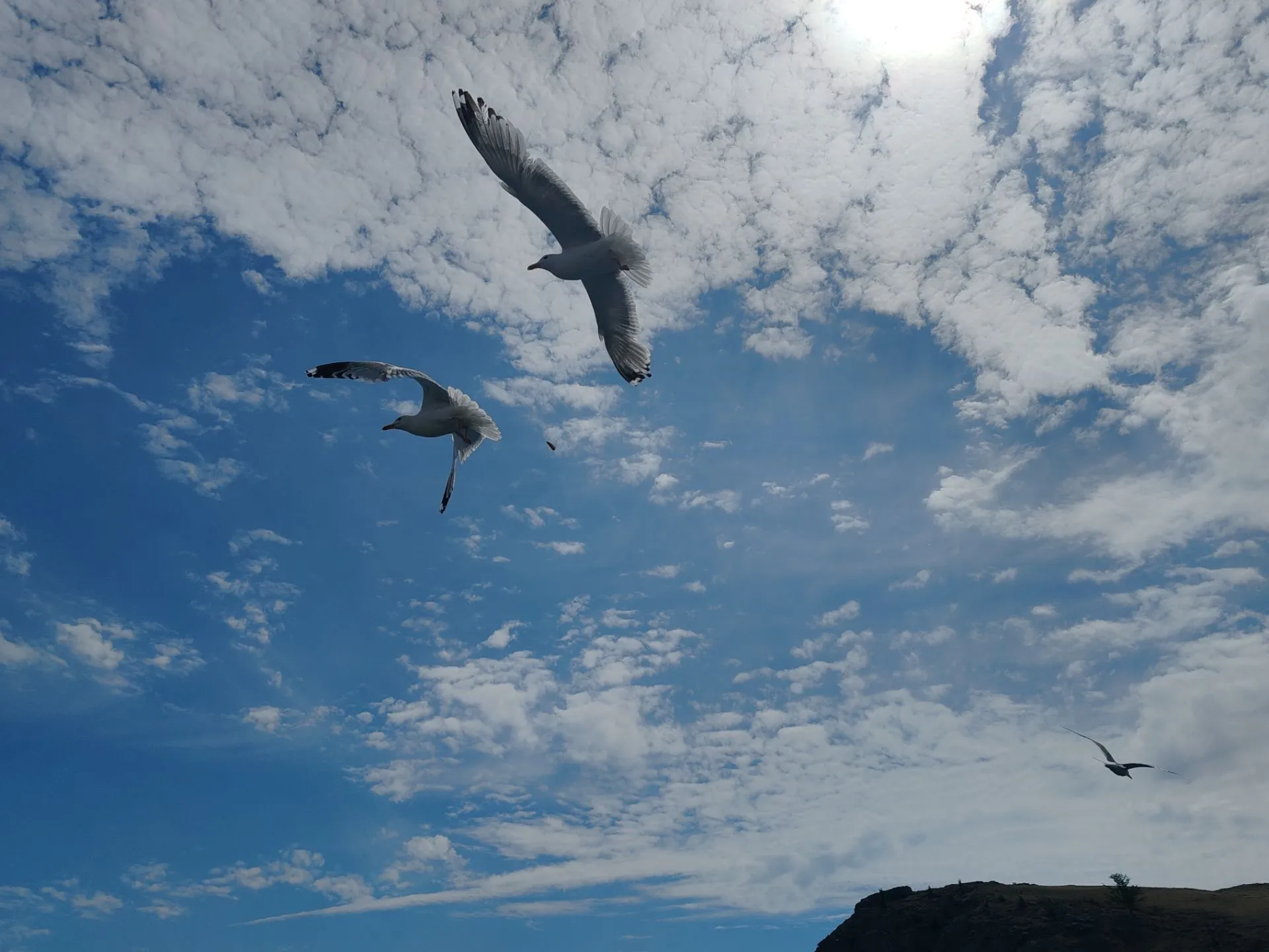 Второе изображение экскурсии