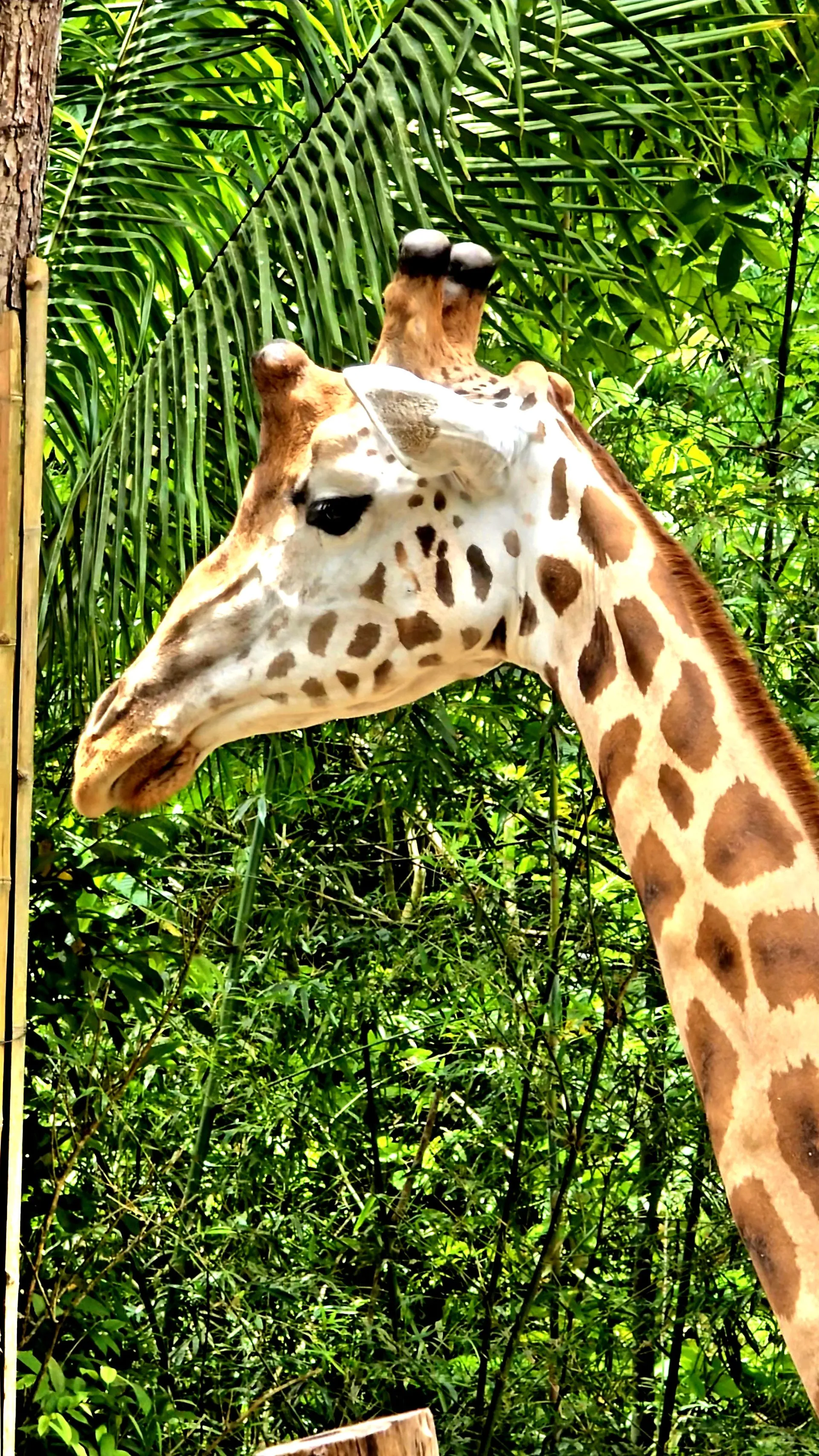 Главное изображение экскурсии