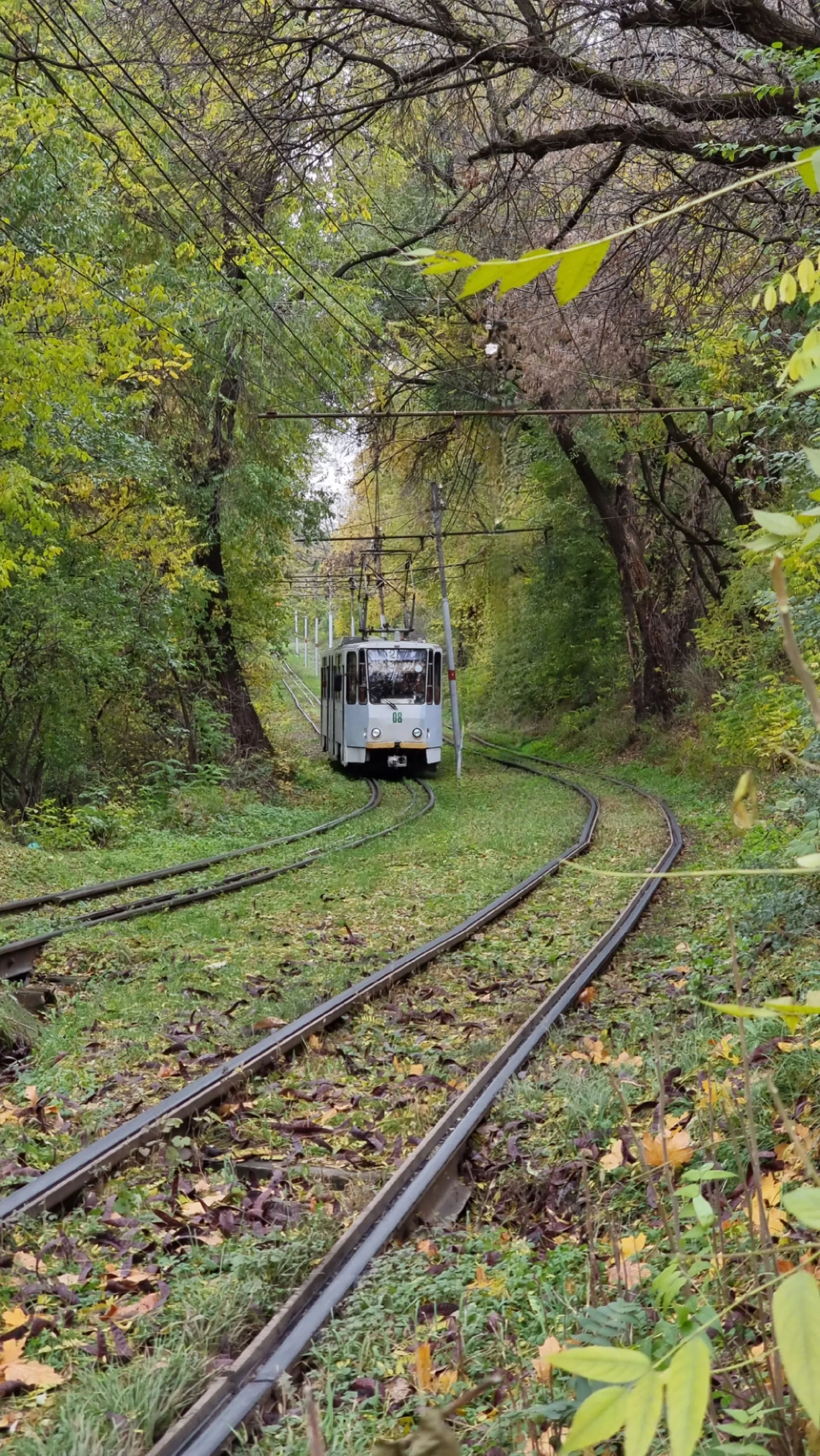 Второе изображение экскурсии