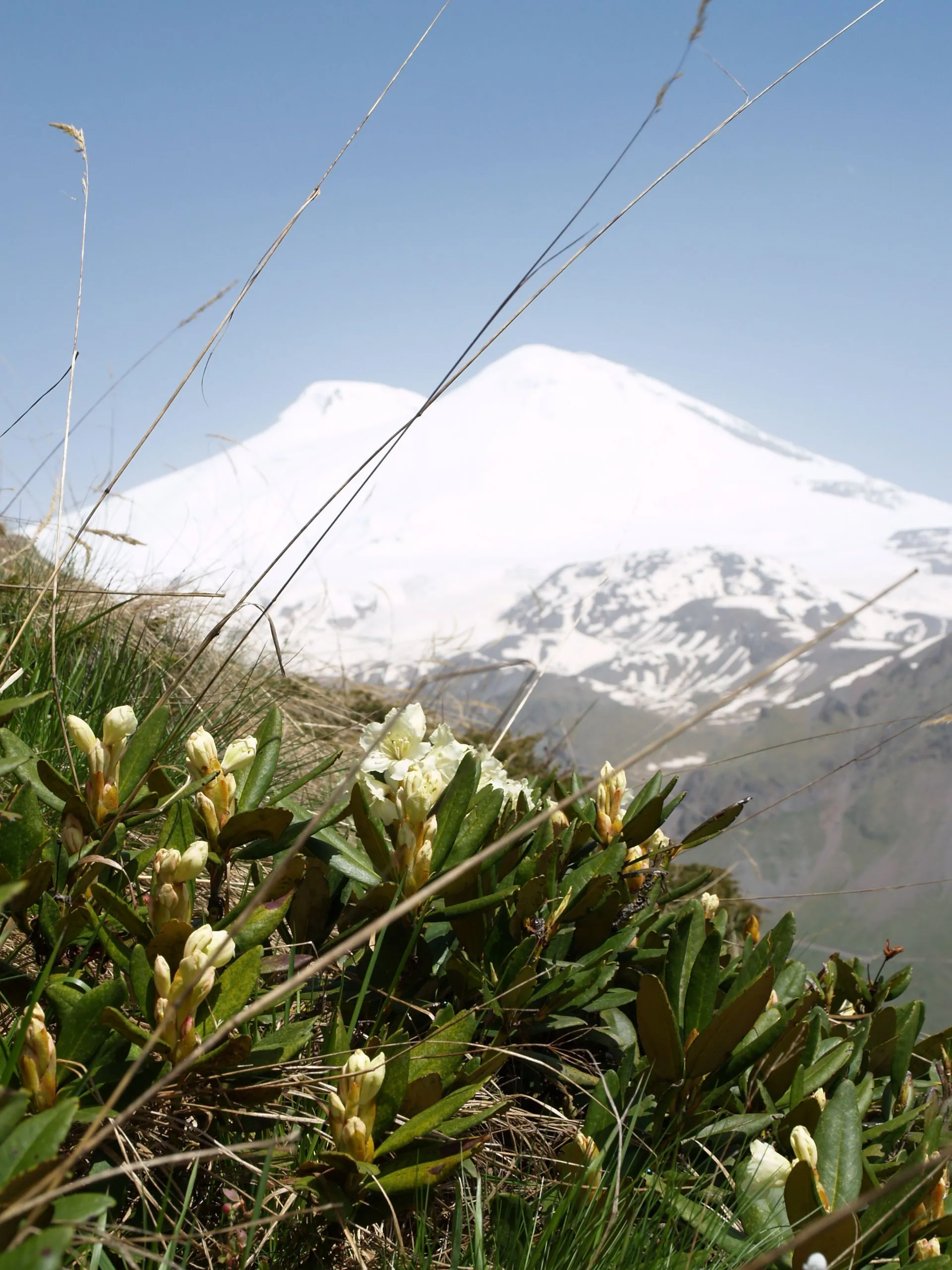 Главное изображение экскурсии