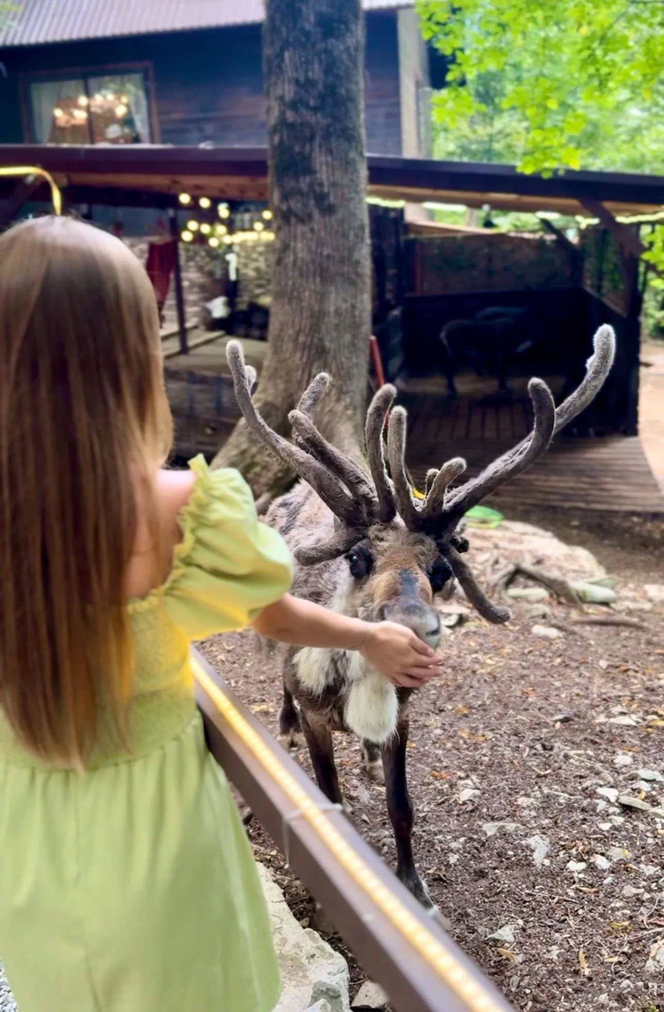 Второе изображение экскурсии