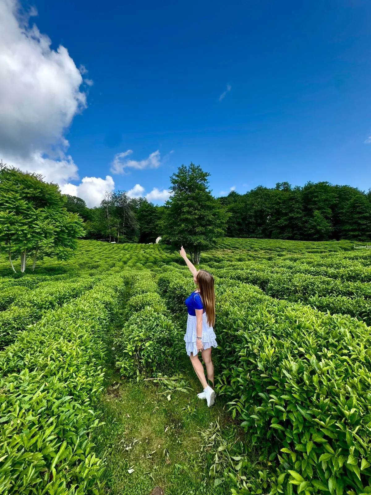 Главное изображение экскурсии