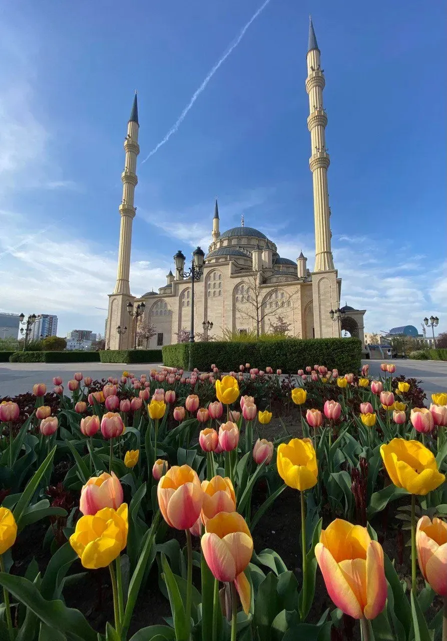 Главное изображение экскурсии