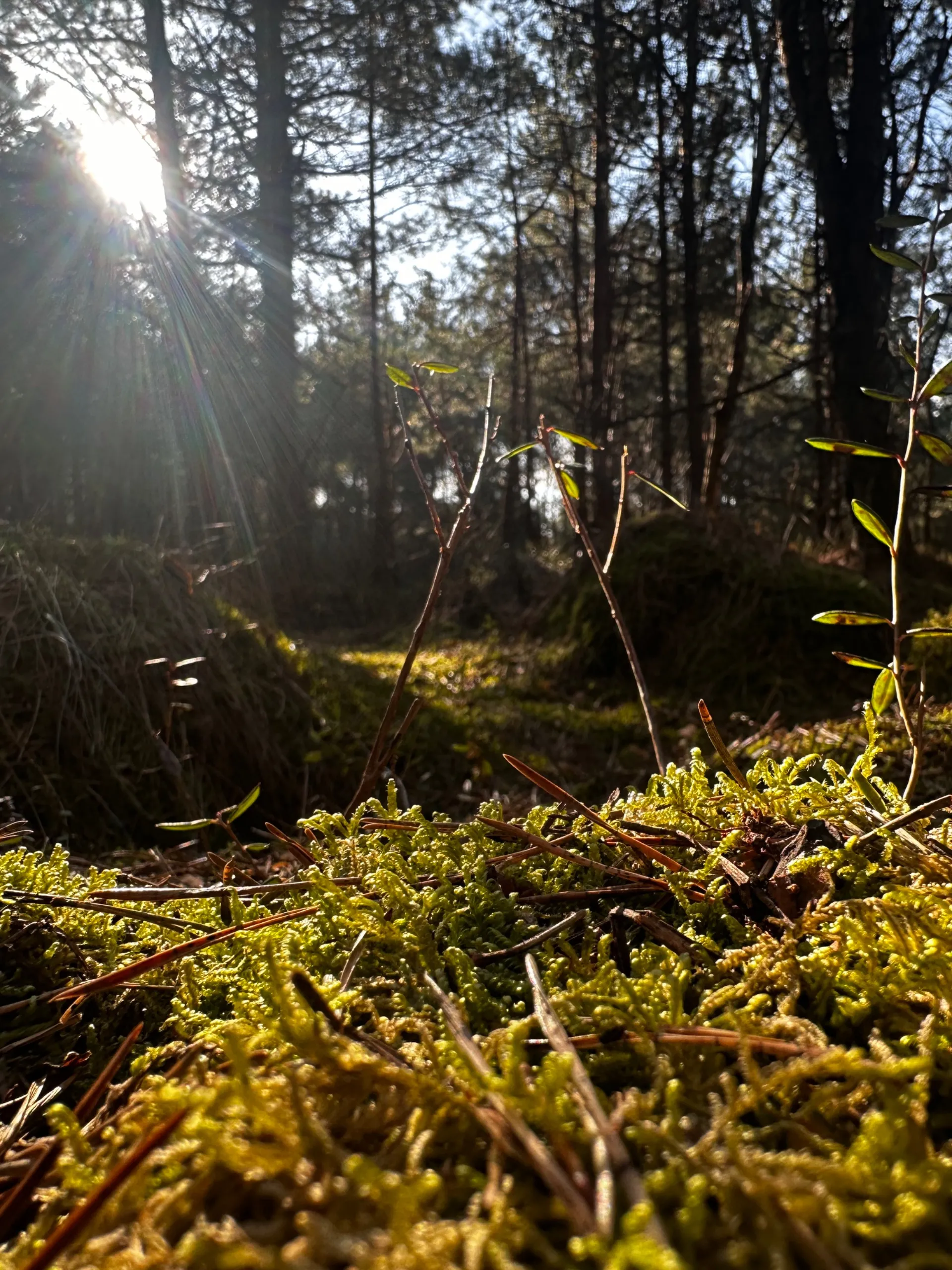 Главное изображение экскурсии