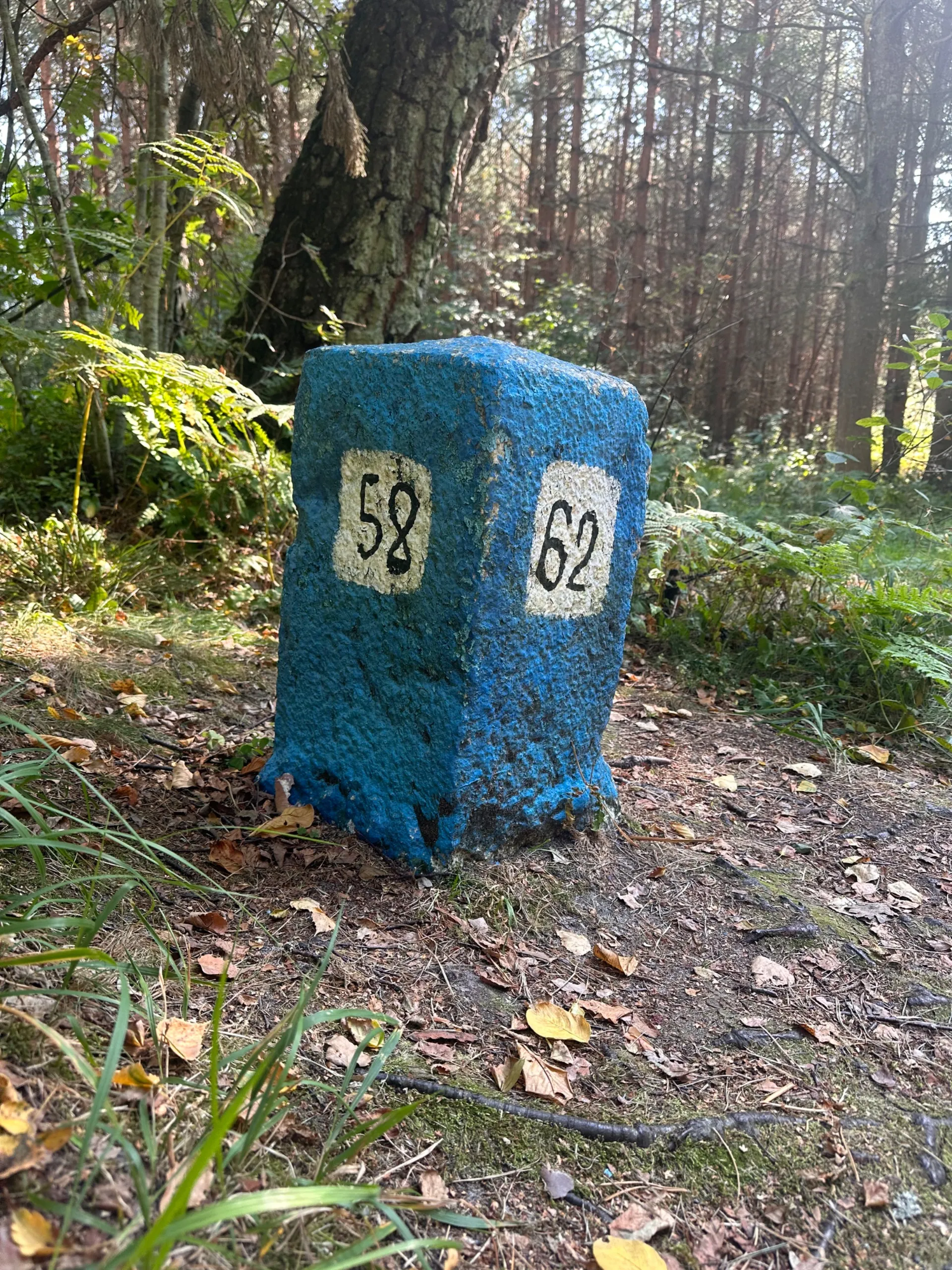 Второе изображение экскурсии