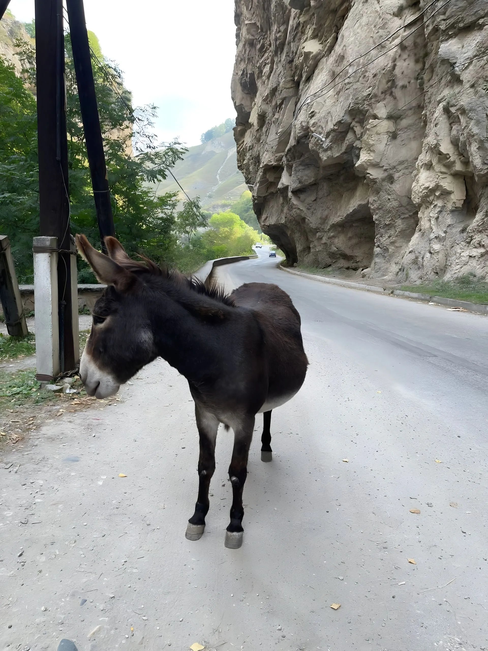 Главное изображение экскурсии