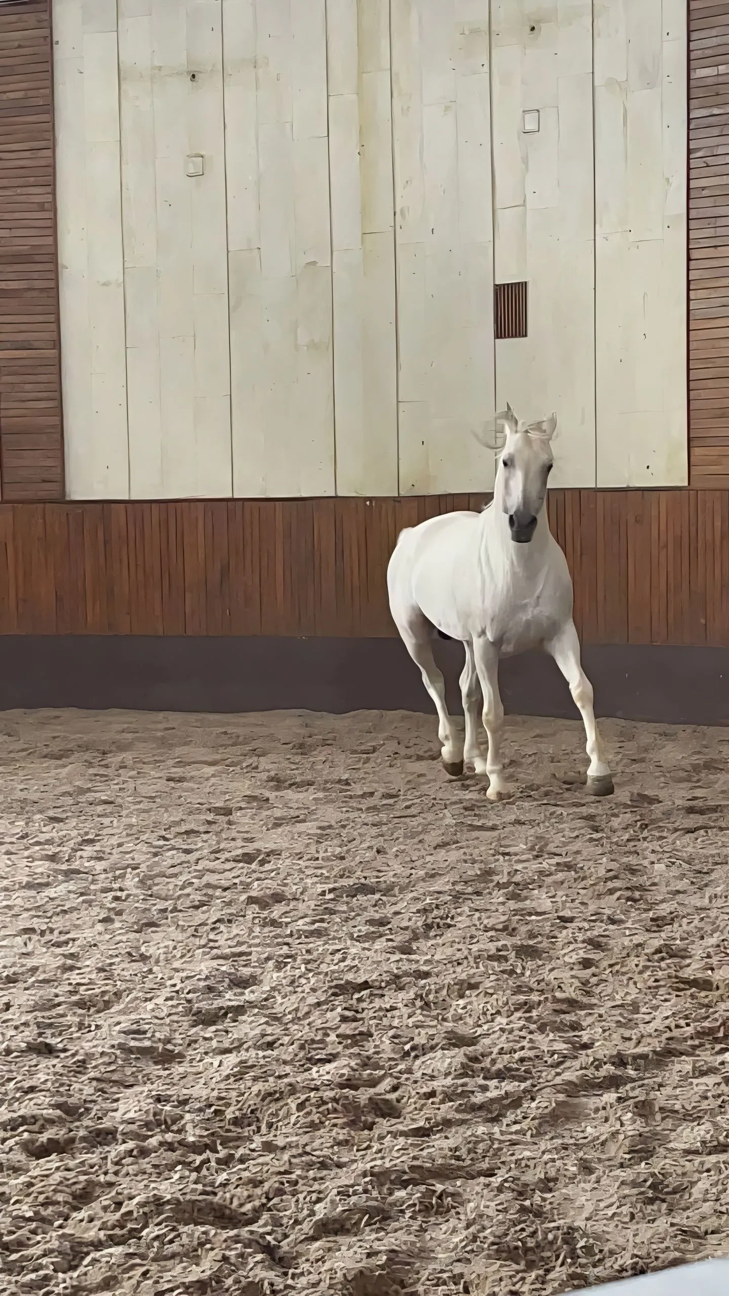 Главное изображение экскурсии