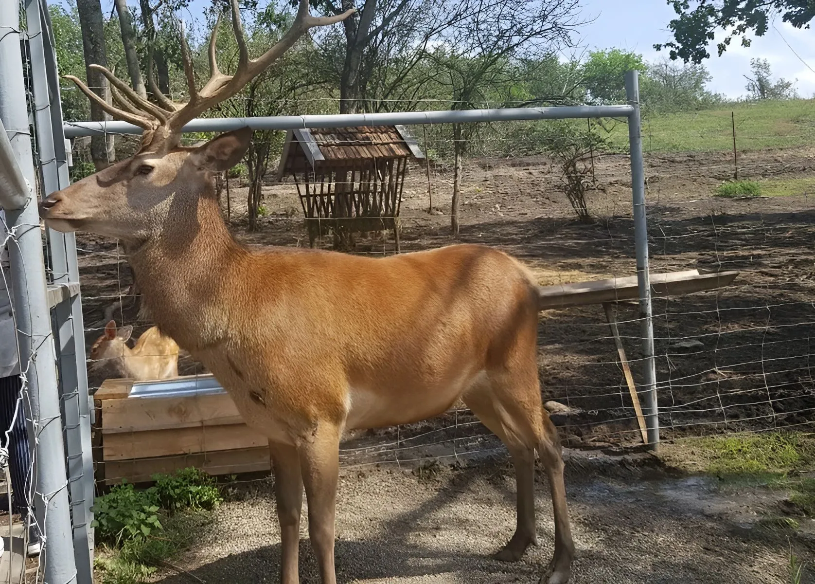 Второе изображение экскурсии