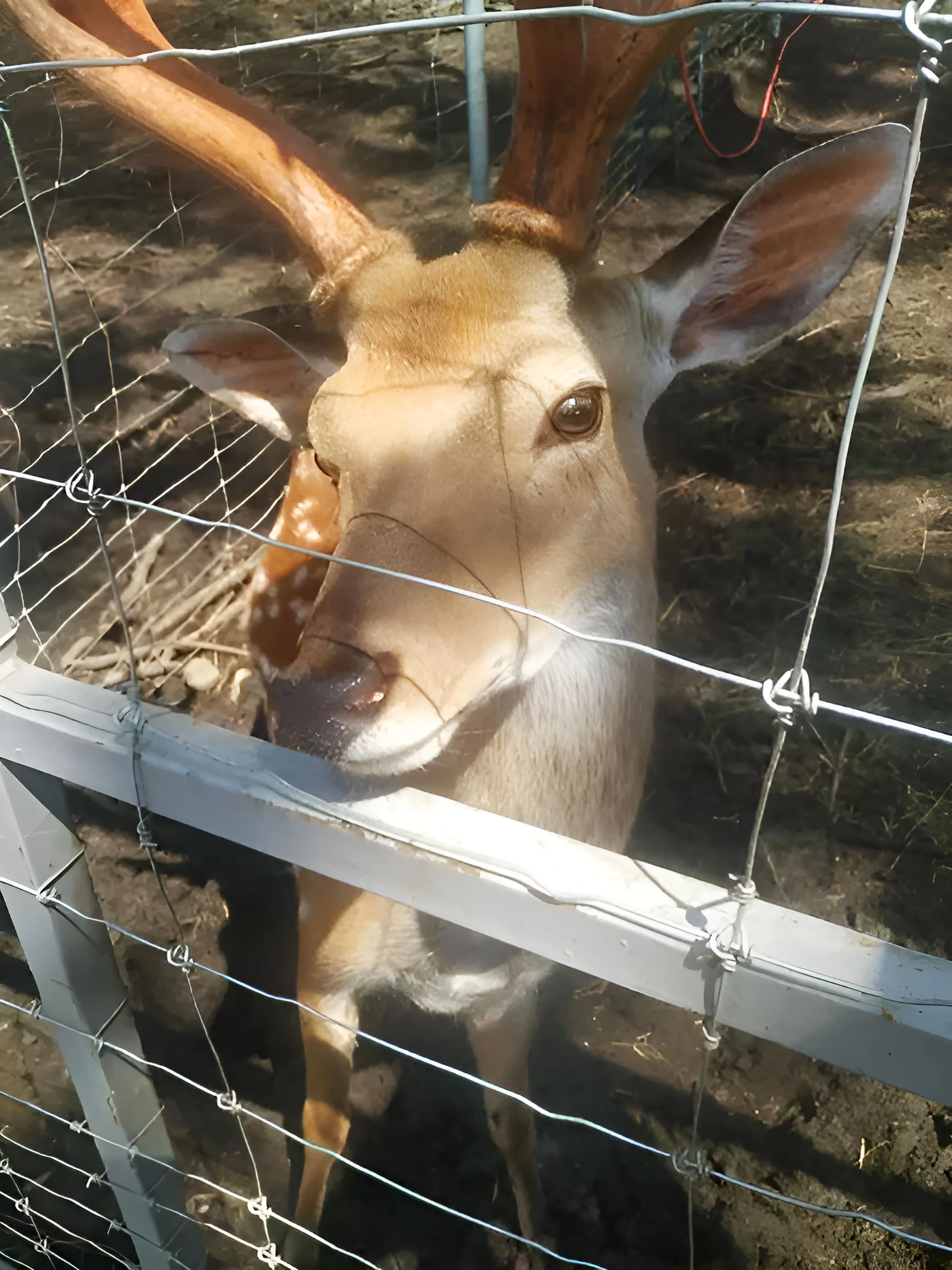 Главное изображение экскурсии