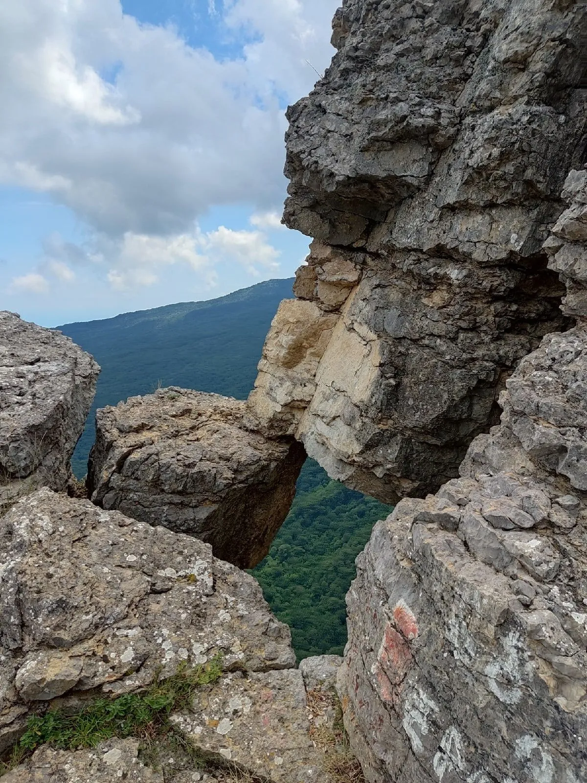Терренкур по Ялтинскому заповеднику: путешествие по природным красотам