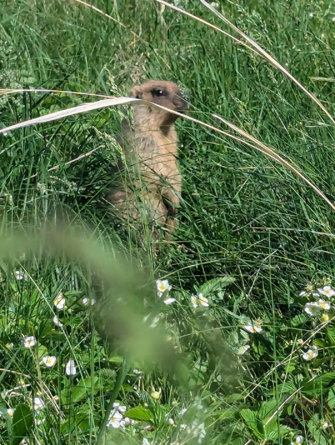 Второе изображение экскурсии