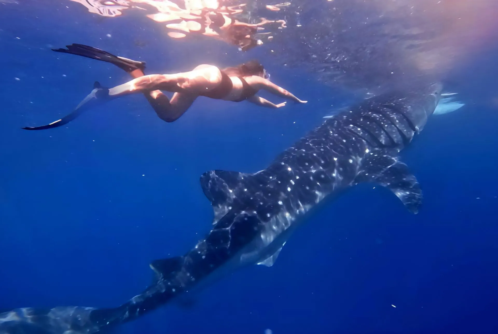 Второе изображение экскурсии