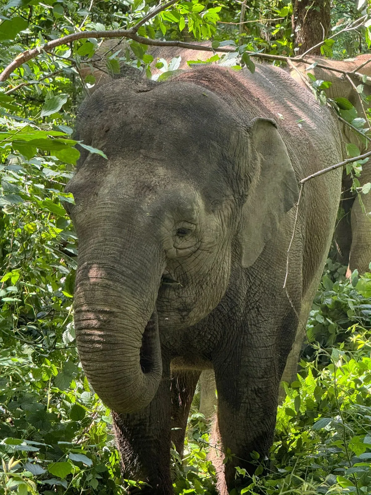 Второе изображение экскурсии