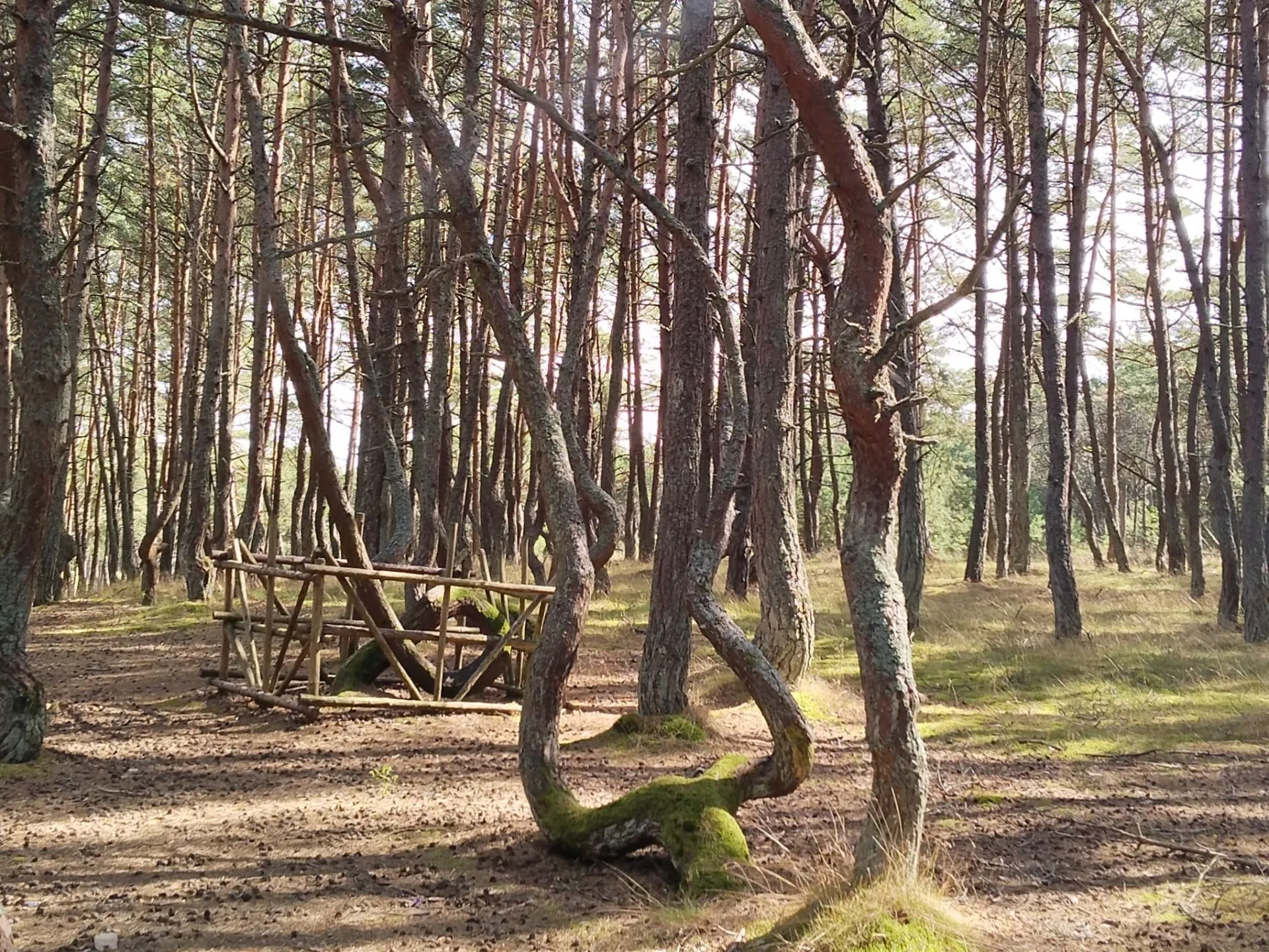 Второе изображение экскурсии