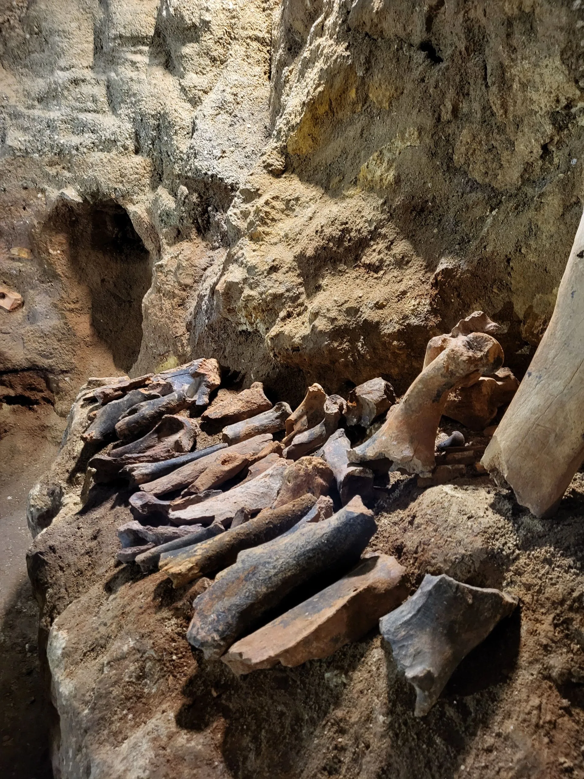 Второе изображение экскурсии