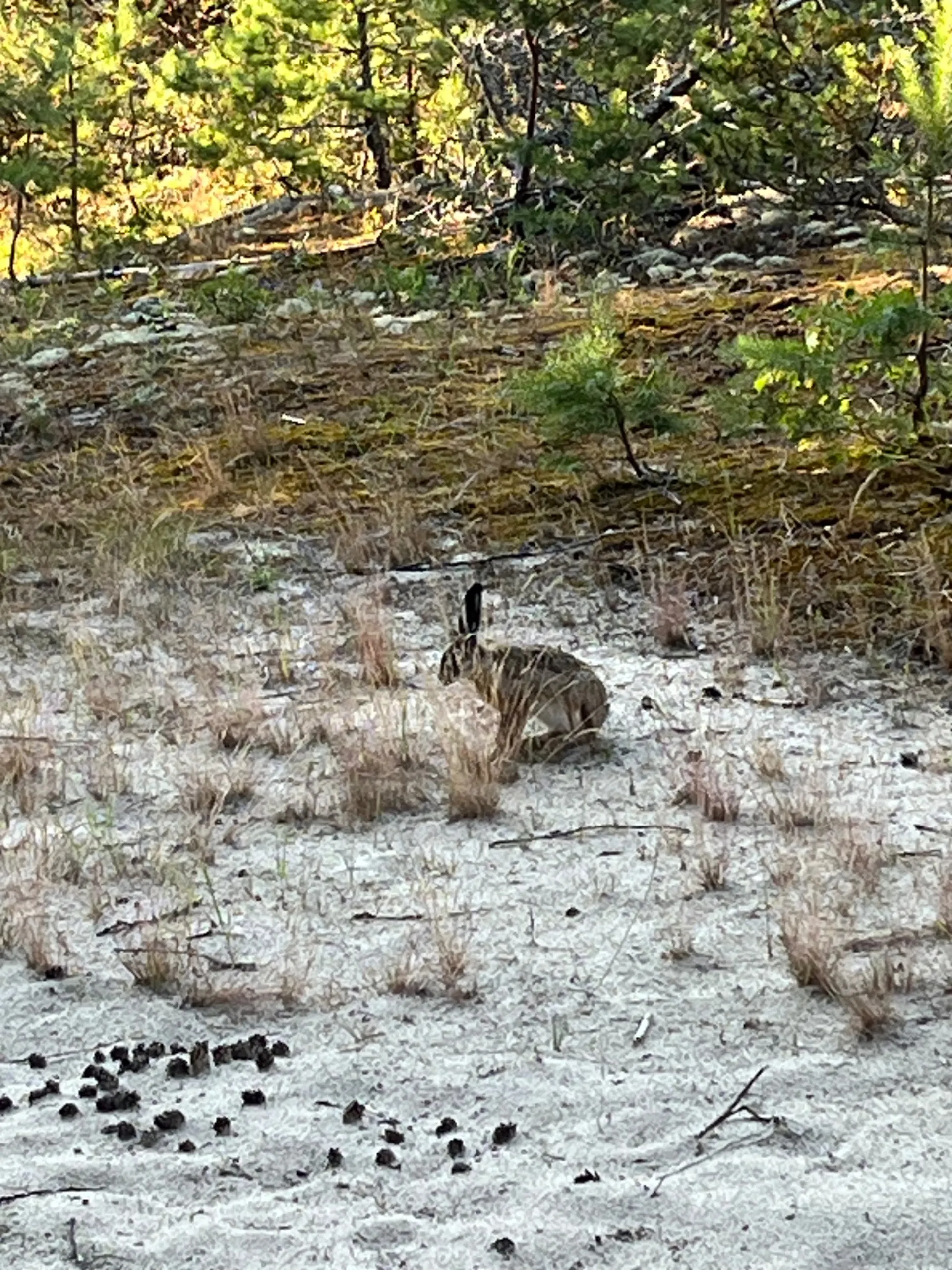 Второе изображение экскурсии