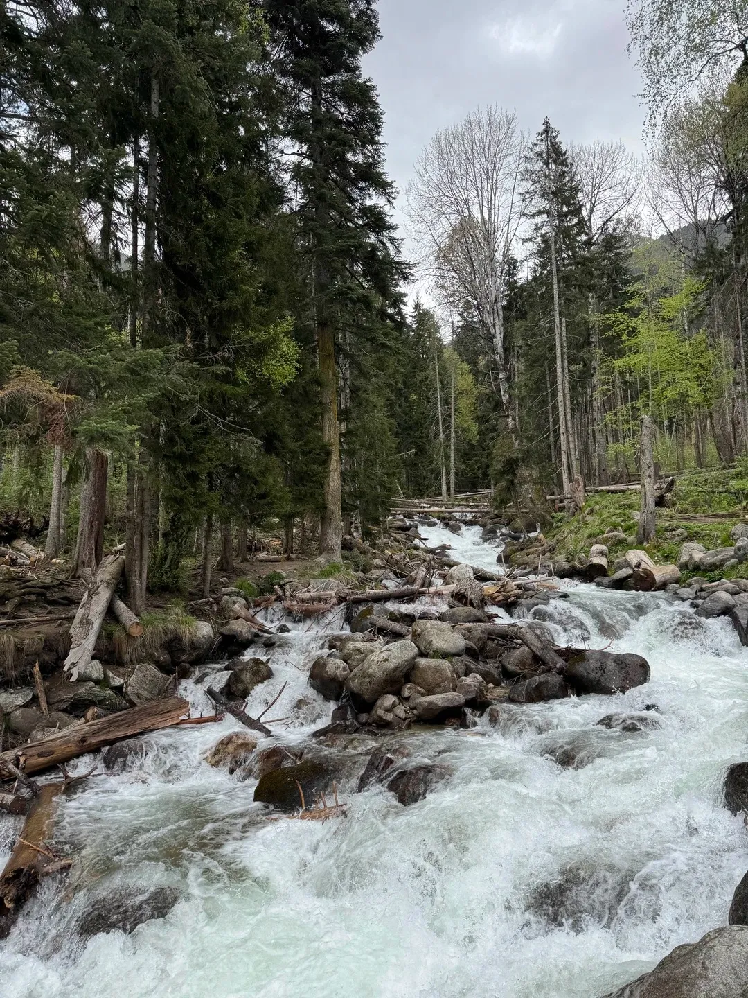 Главное изображение экскурсии