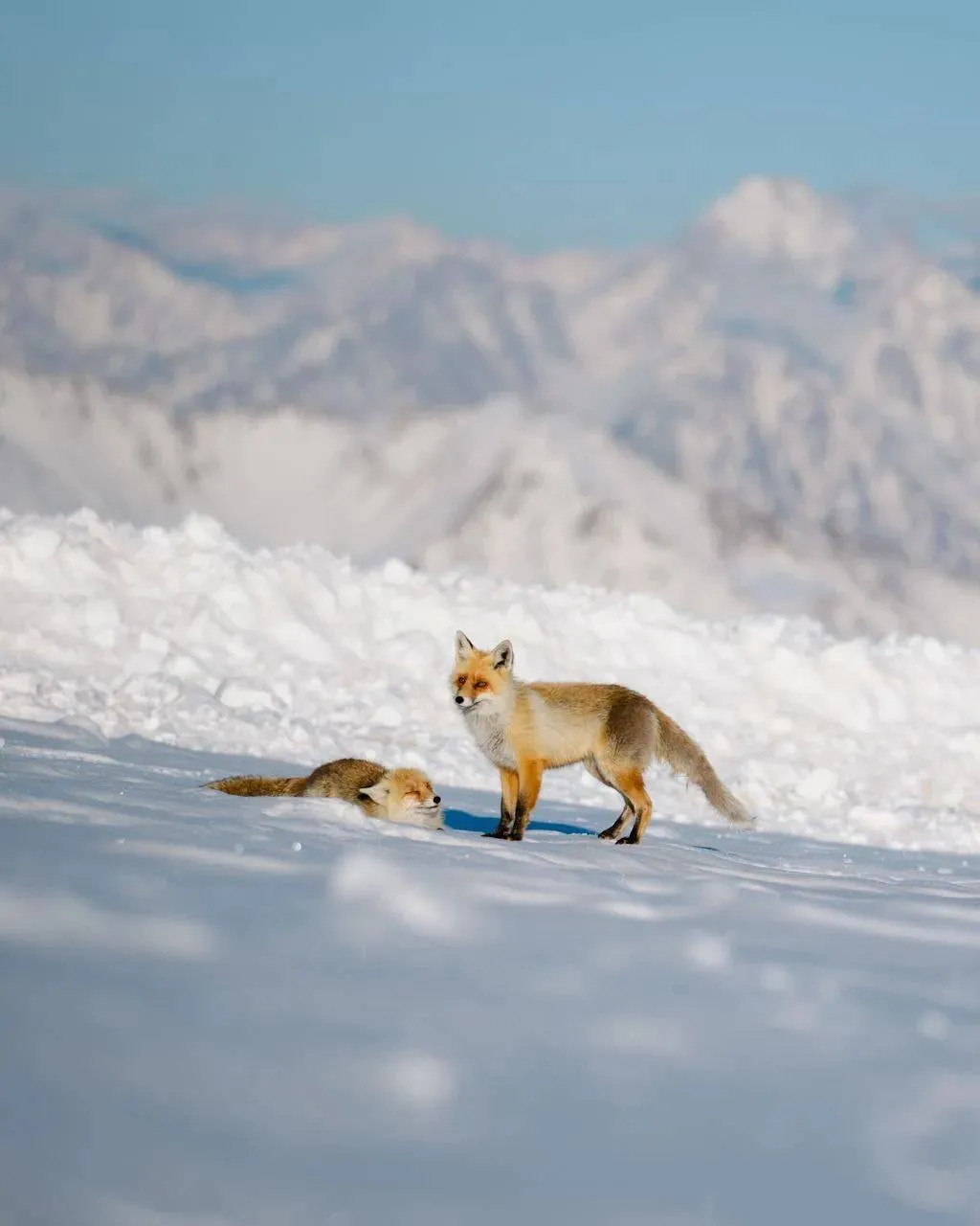 Главное изображение экскурсии