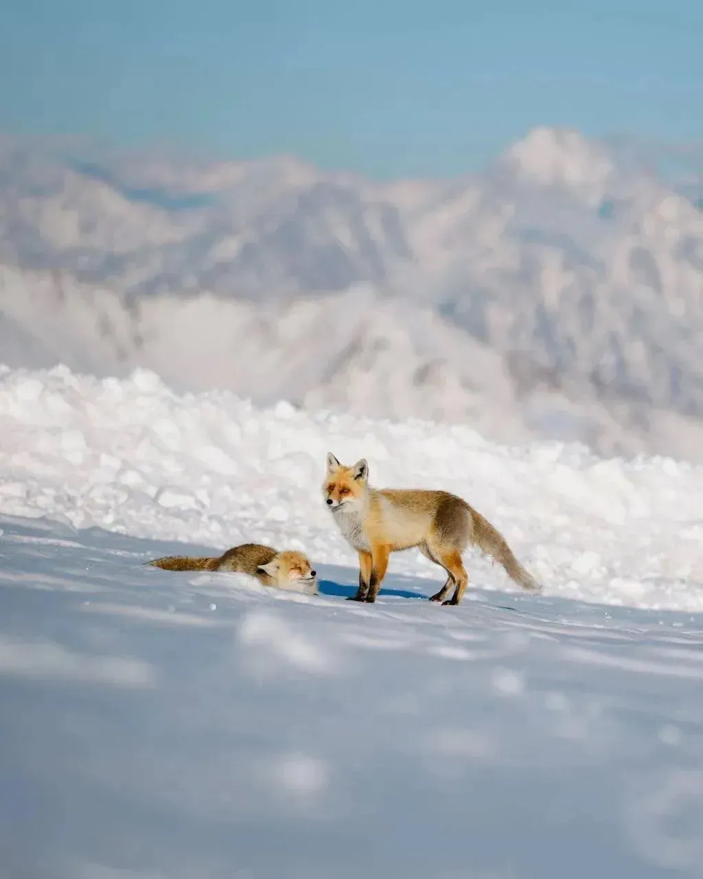 Главное изображение экскурсии