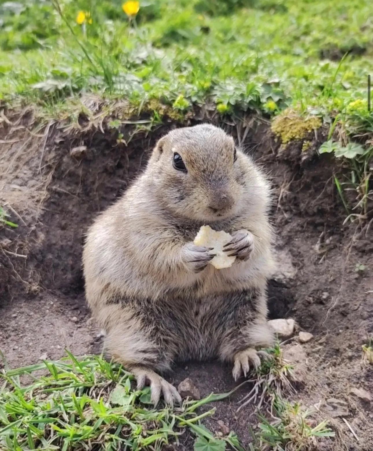 Второе изображение экскурсии