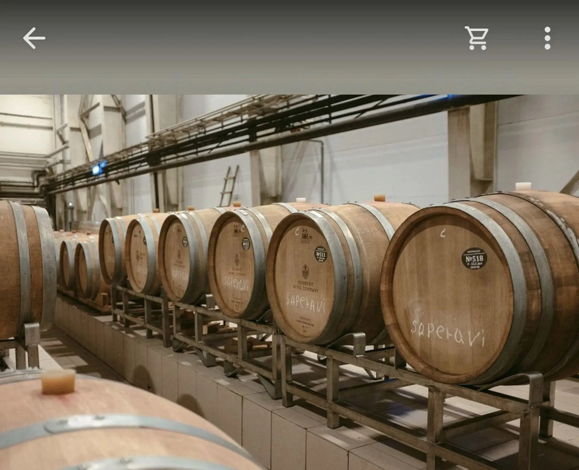 Главное изображение экскурсии