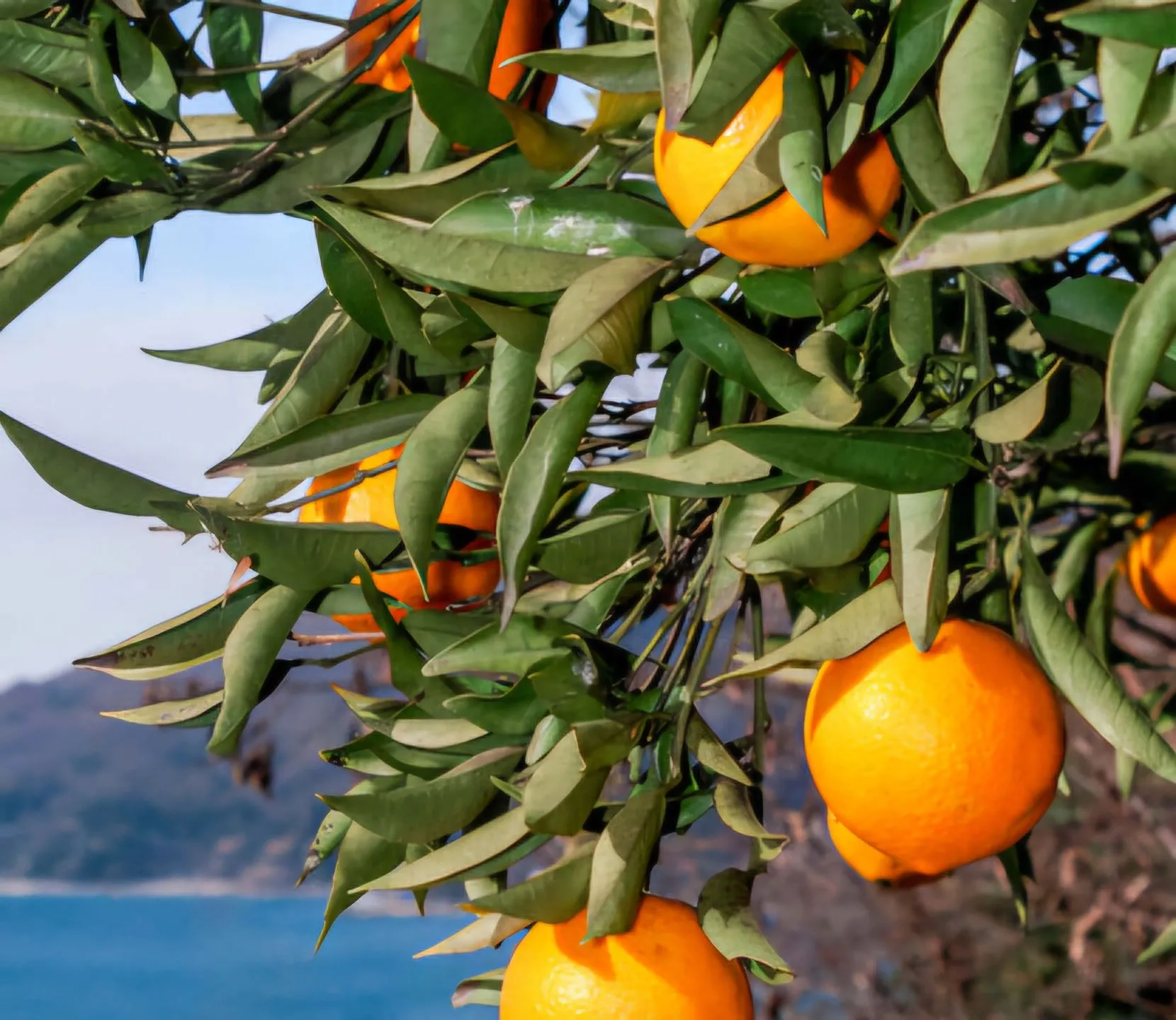 Главное изображение экскурсии