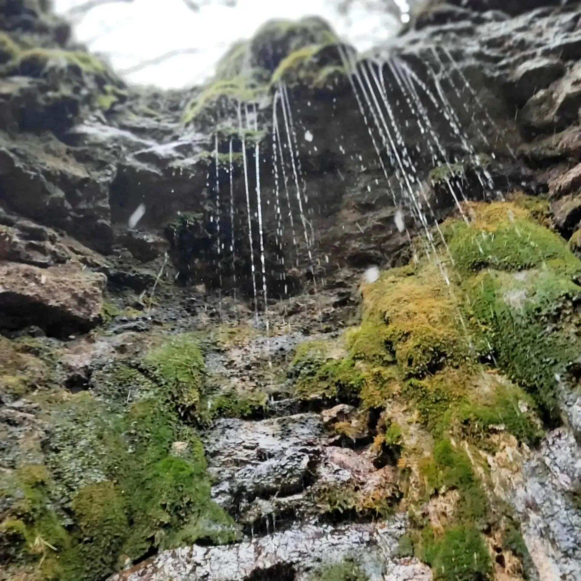 Второе изображение экскурсии