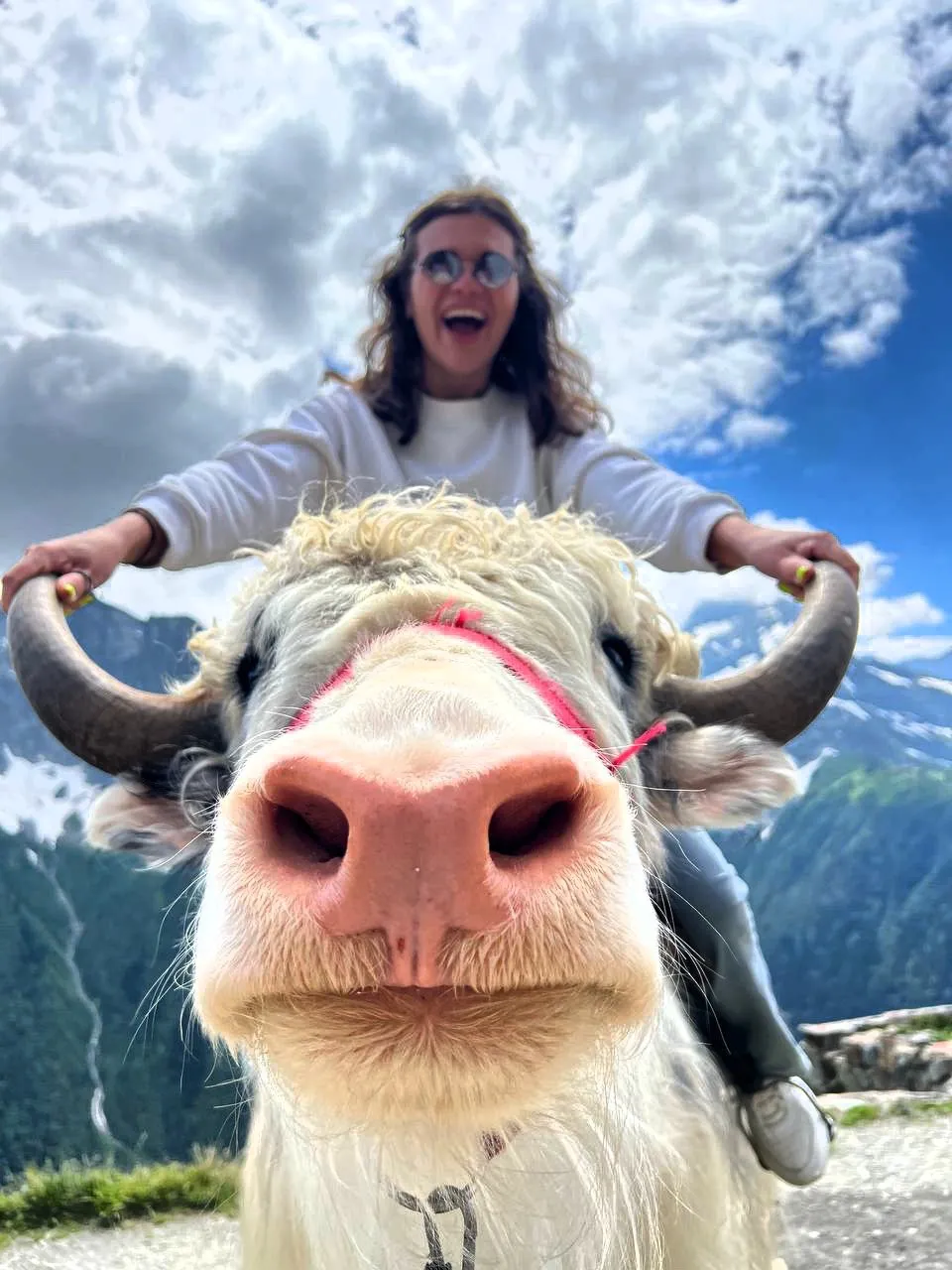 Главное изображение экскурсии