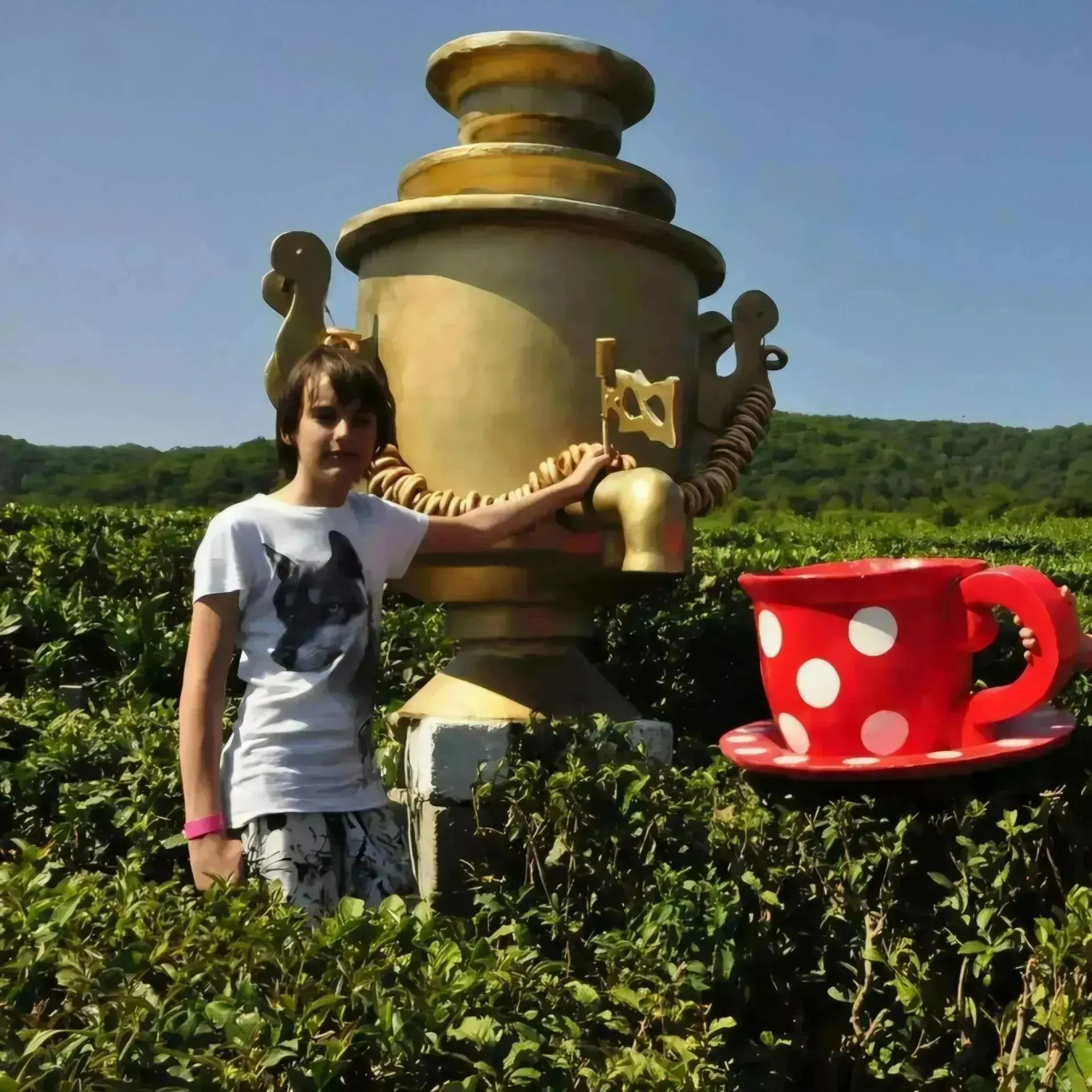 Второе изображение экскурсии