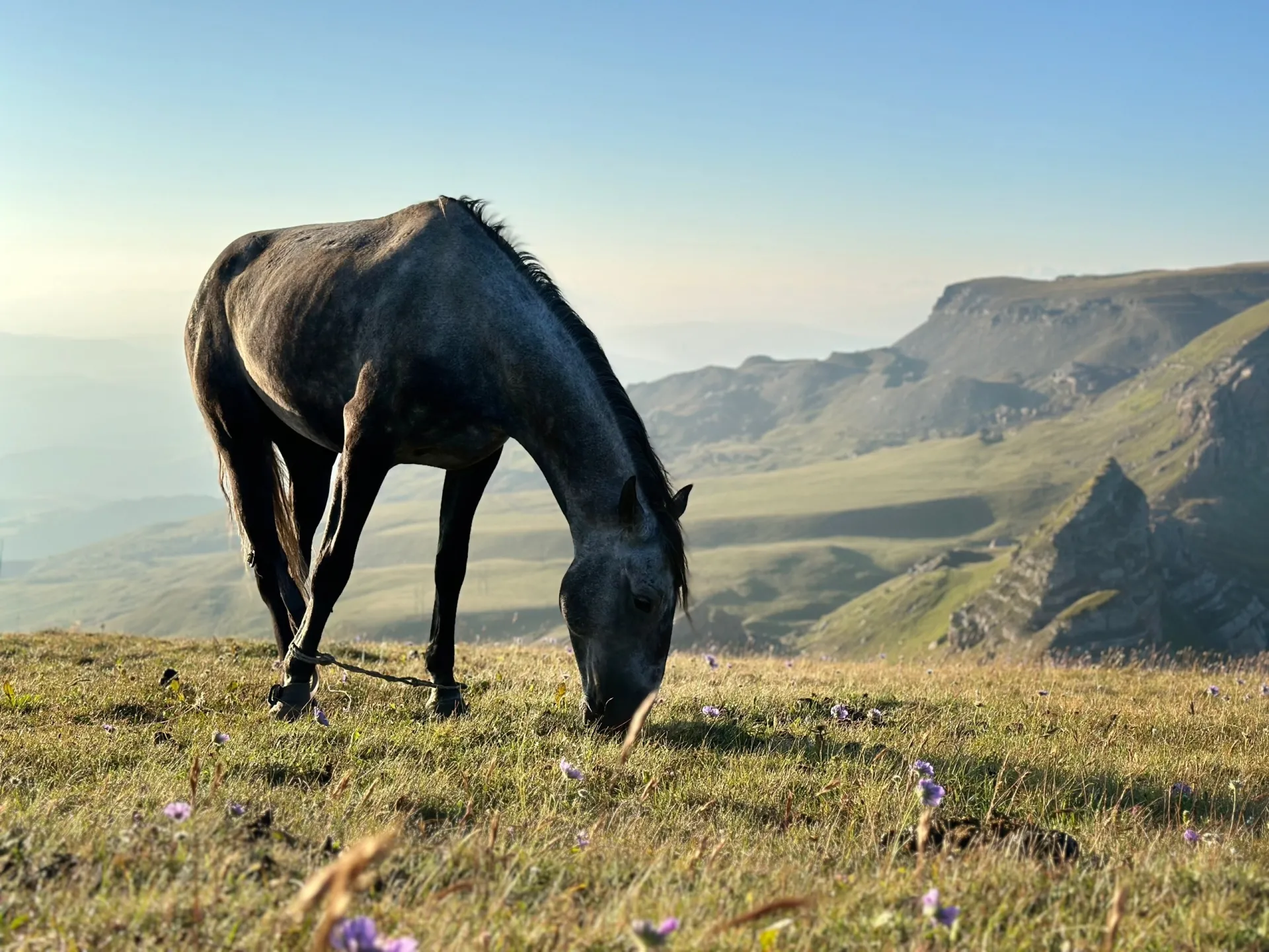 Второе изображение экскурсии