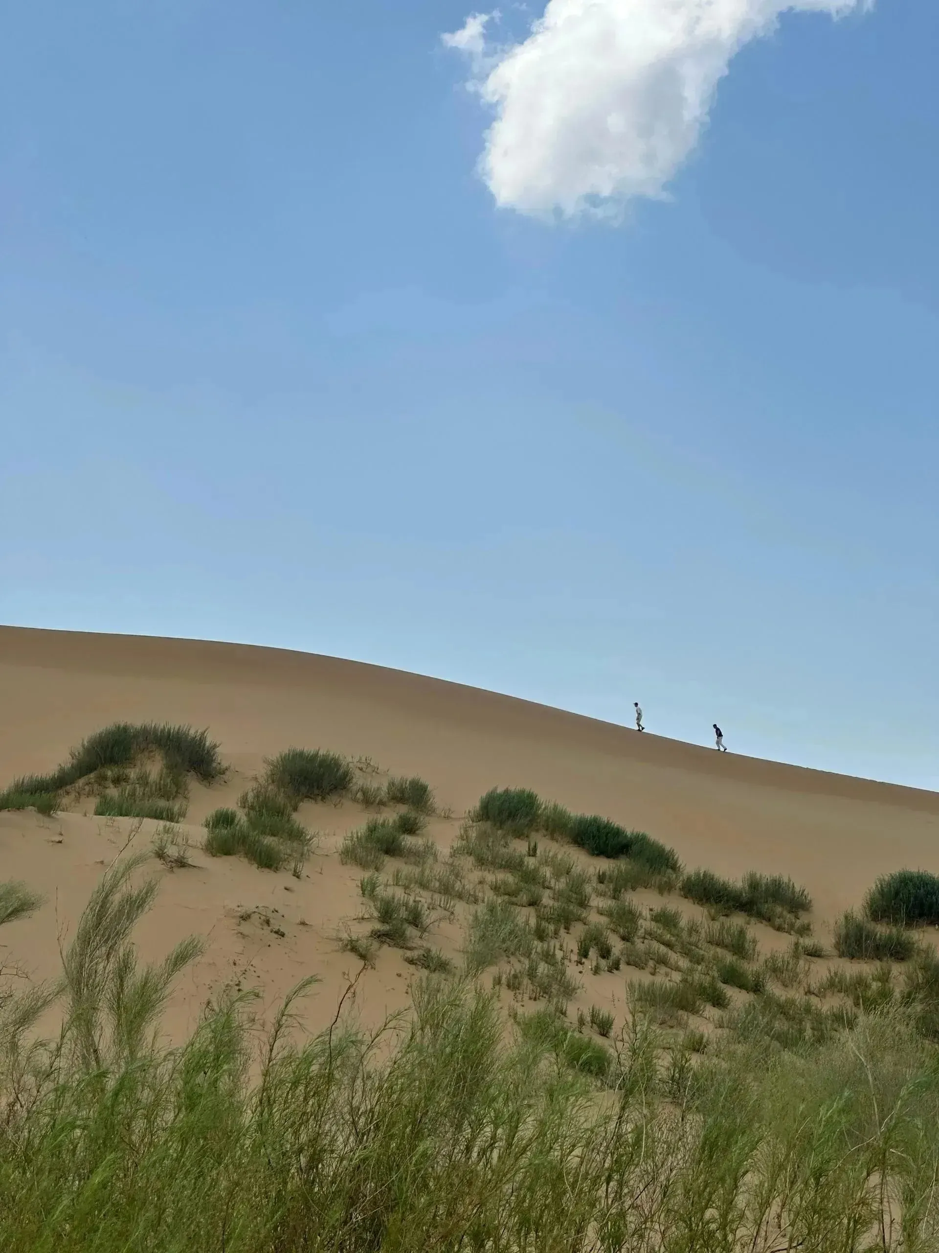 Второе изображение экскурсии