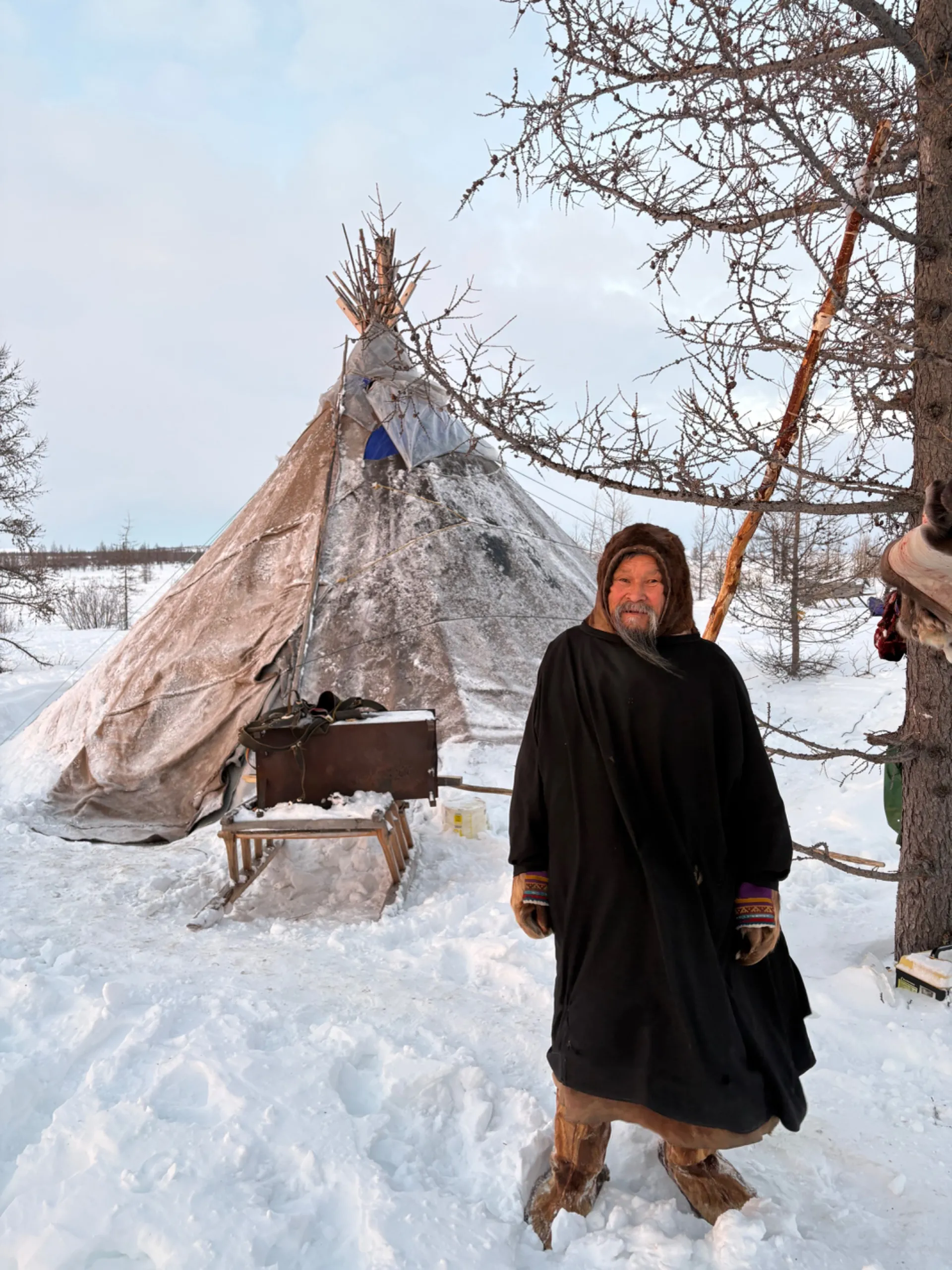На оленьих упряжках: Северное сафари 