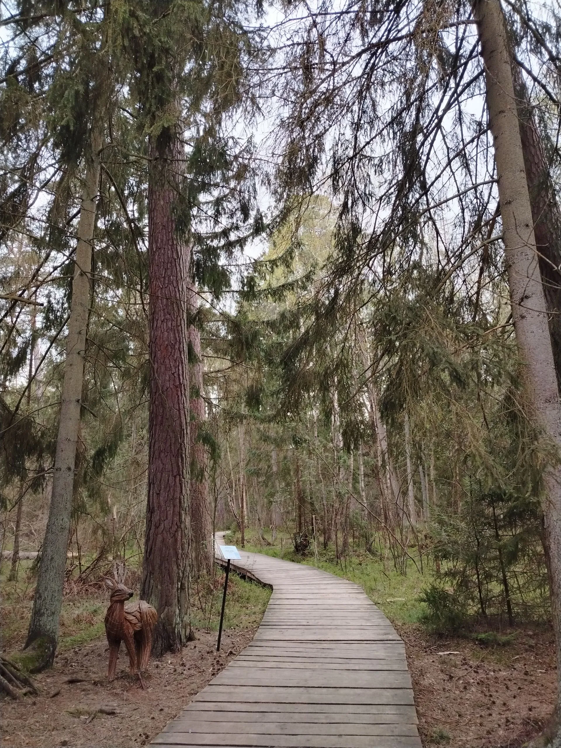 Второе изображение экскурсии