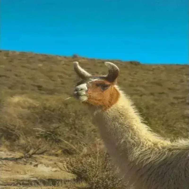 Второе изображение экскурсии