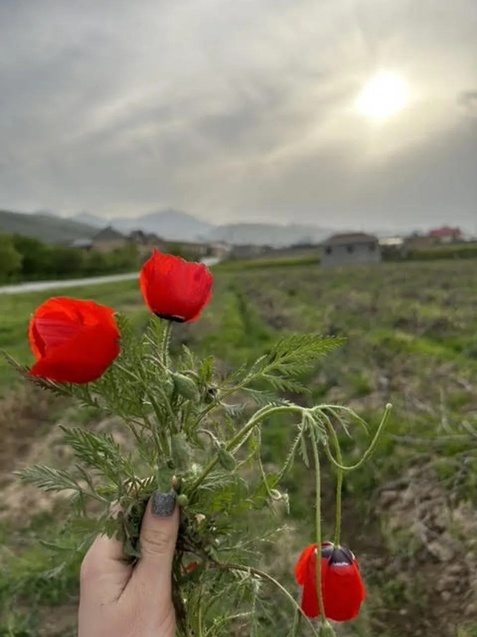 Второе изображение экскурсии