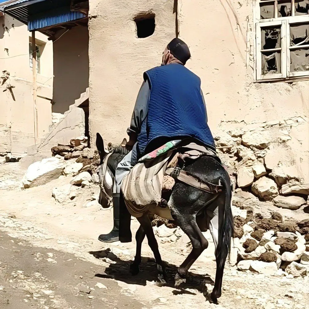Второе изображение экскурсии